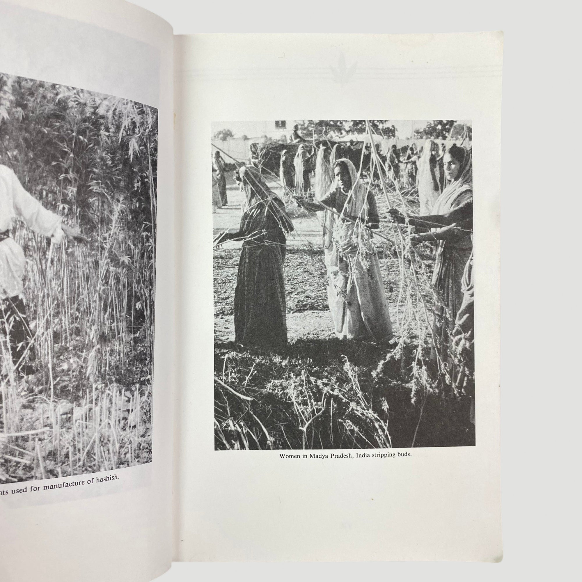 90's Marijuana Growers Handbook