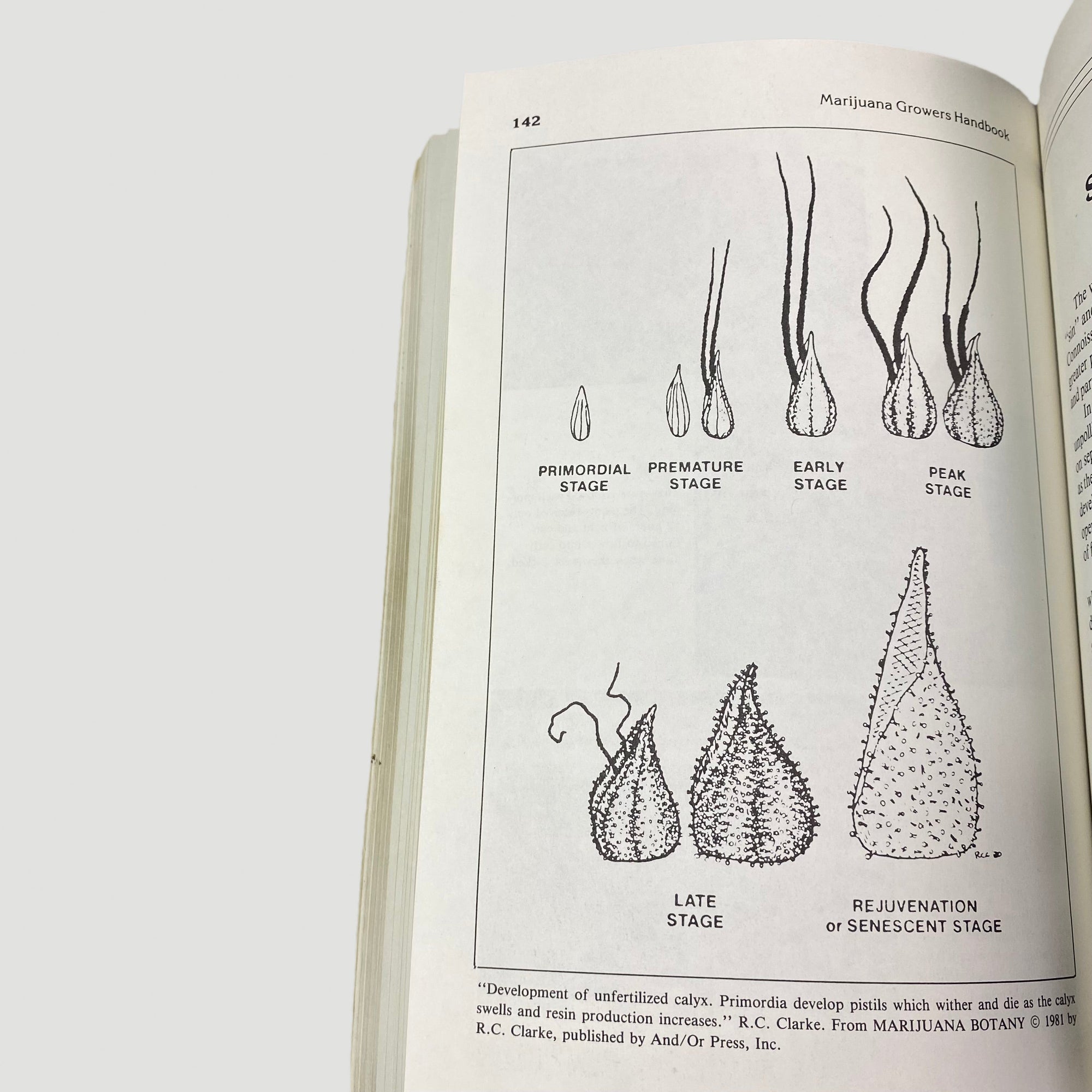 90's Marijuana Growers Handbook