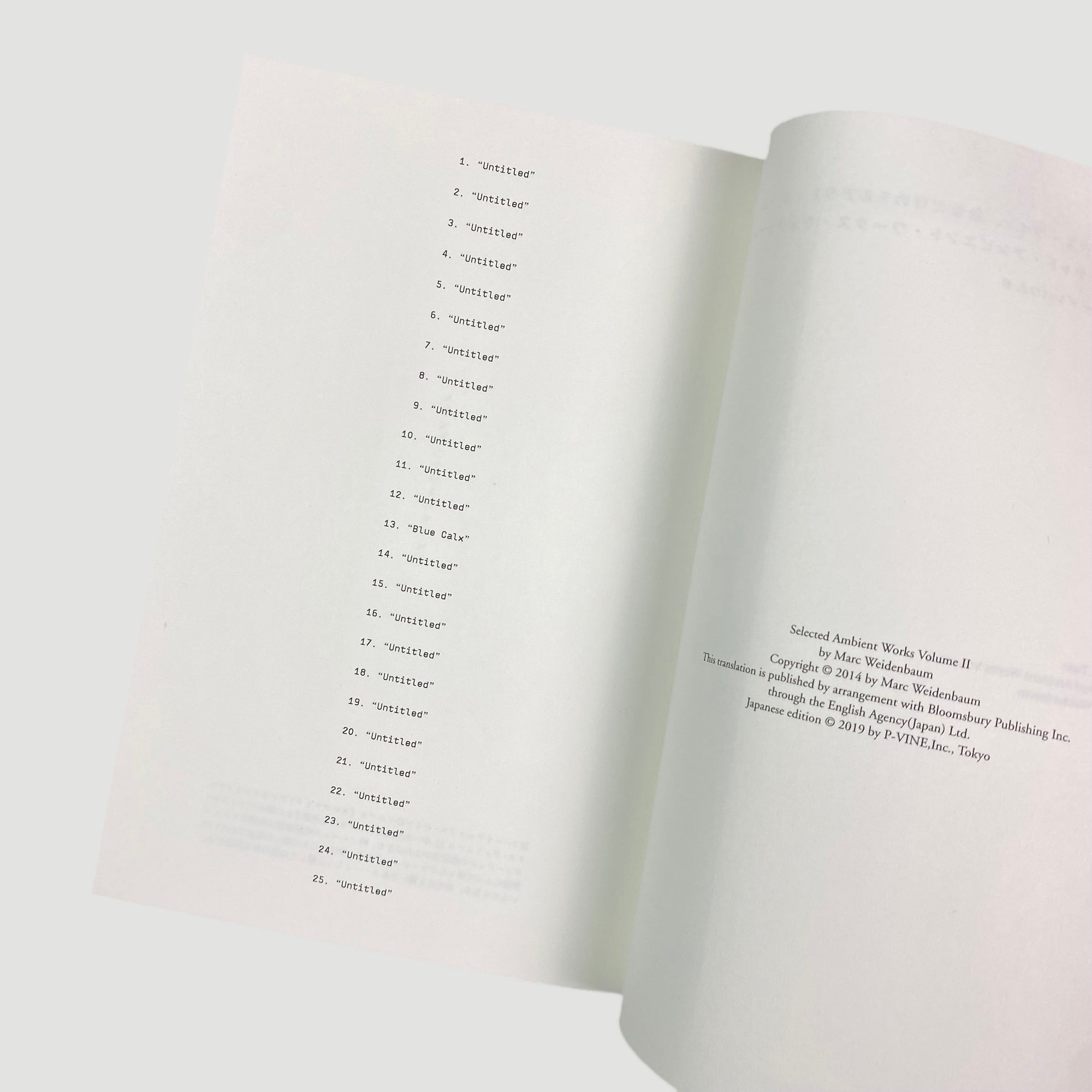 2019 Aphex Twin Your Own Chillout Room Japanese Guide