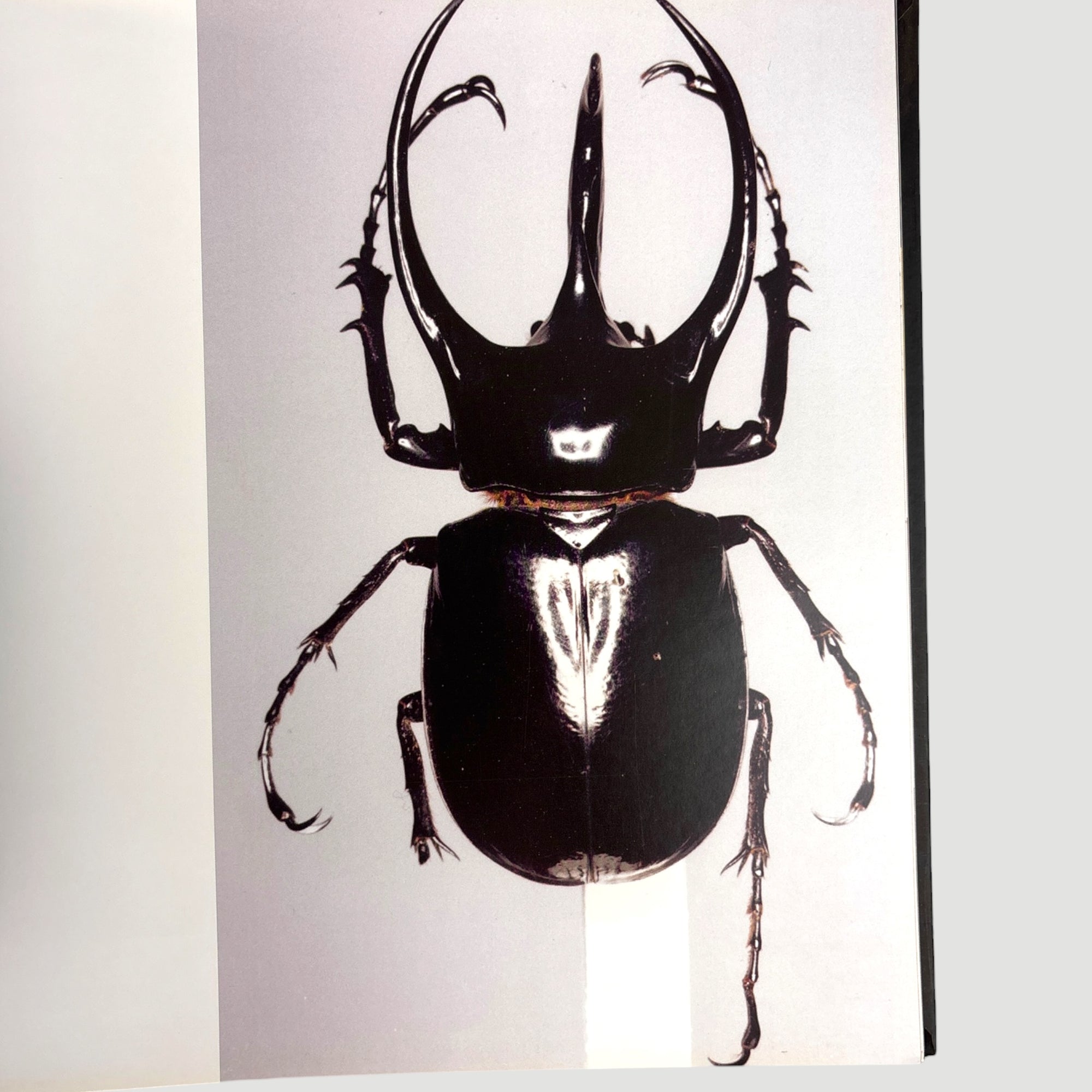 2015 3D and the Art of Massive Attack UK 1st Edition