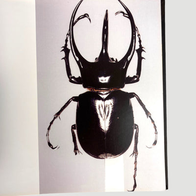 2015 3D and the Art of Massive Attack UK 1st Edition