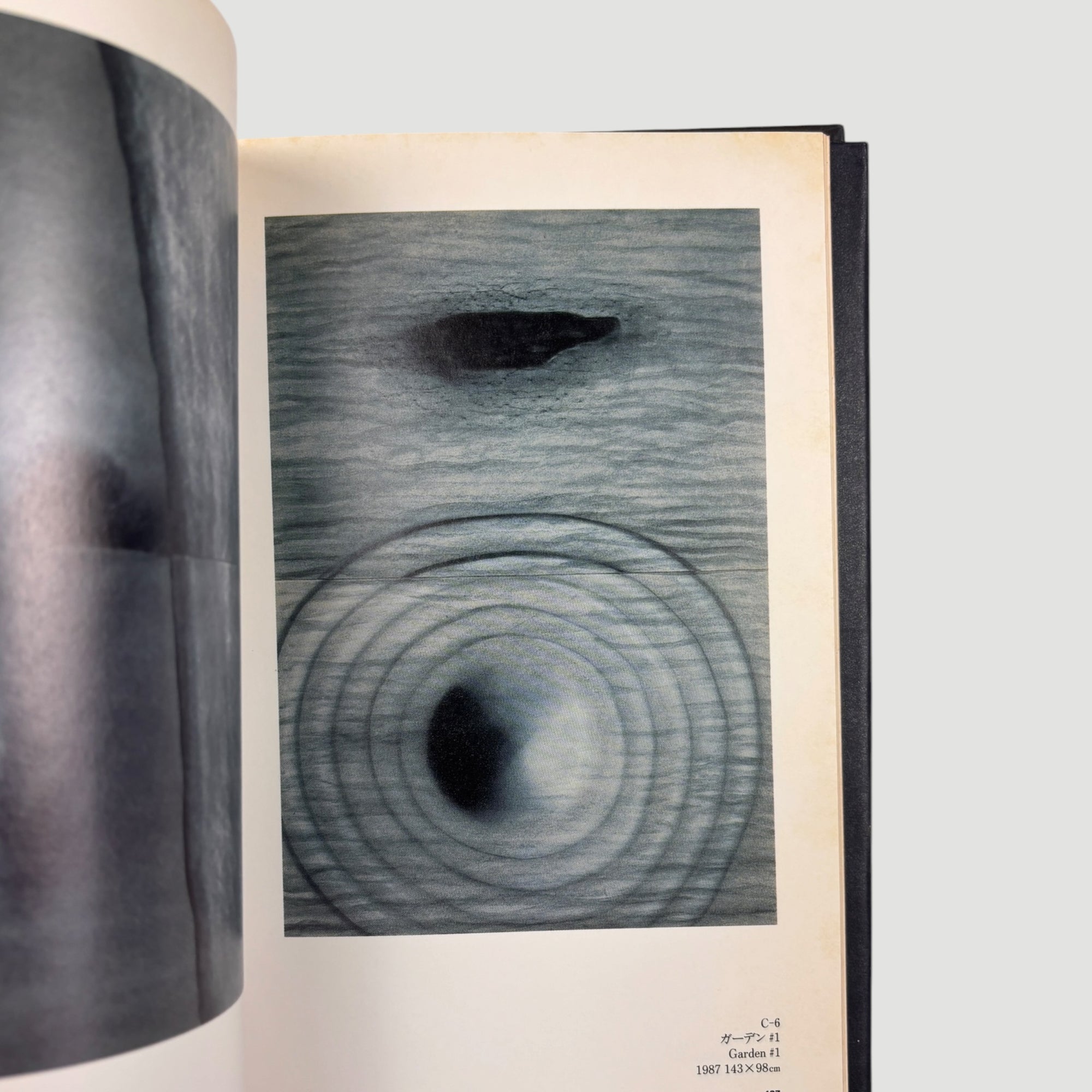 1991 David Lynch Paintings & Drawings 1st Press Edition