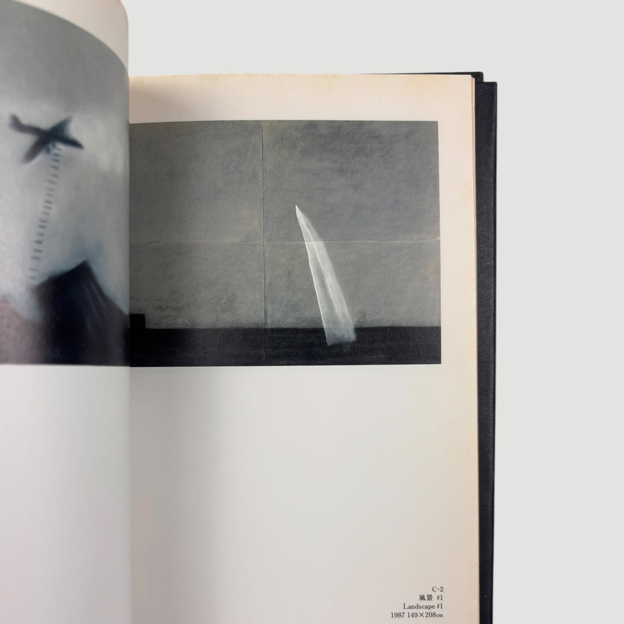 1991 David Lynch Paintings & Drawings 1st Press Edition