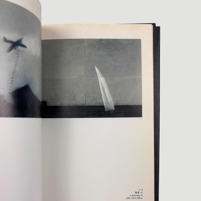 1991 David Lynch Paintings & Drawings 1st Press Edition