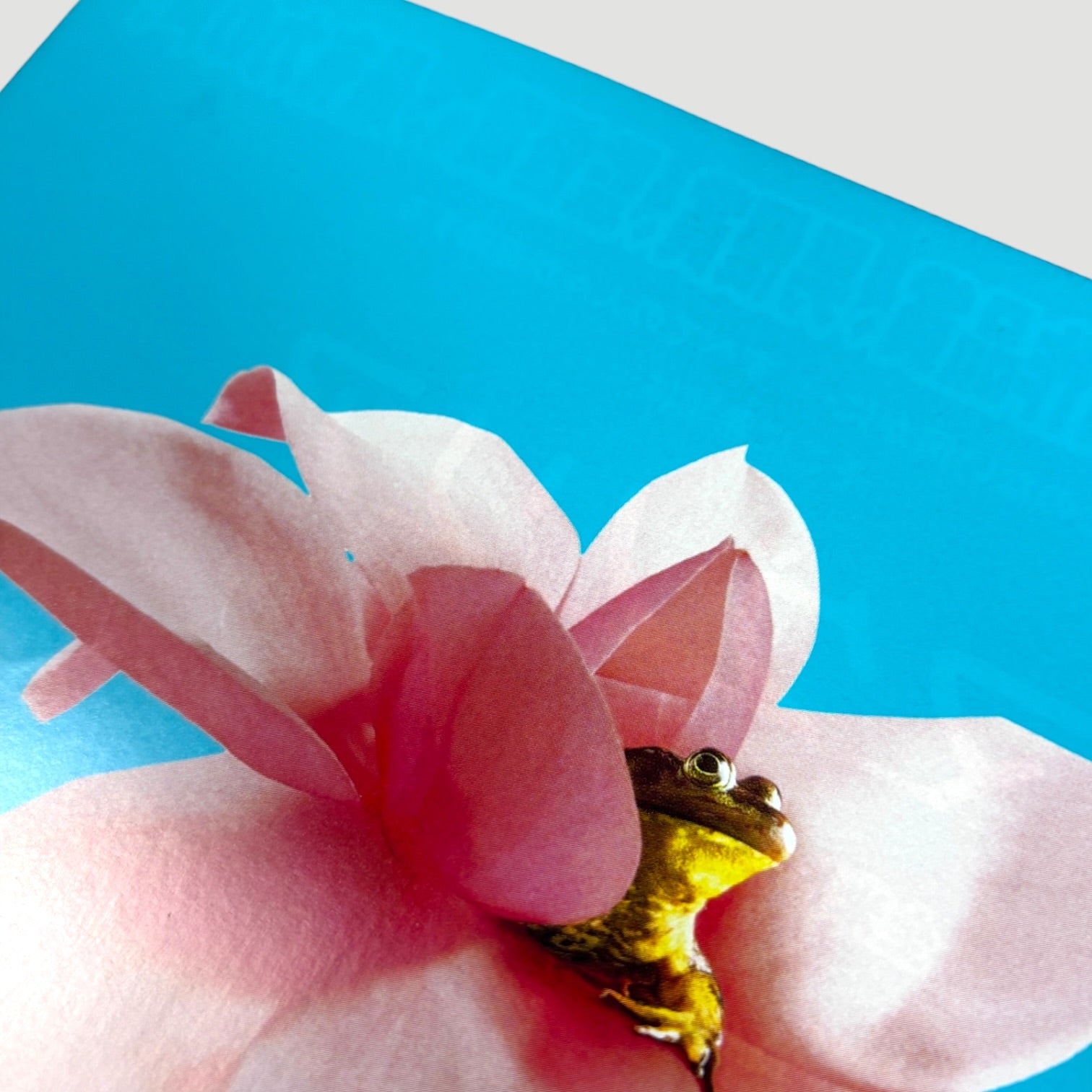 1999 Magnolia Japanese Chirashi Poster (2)