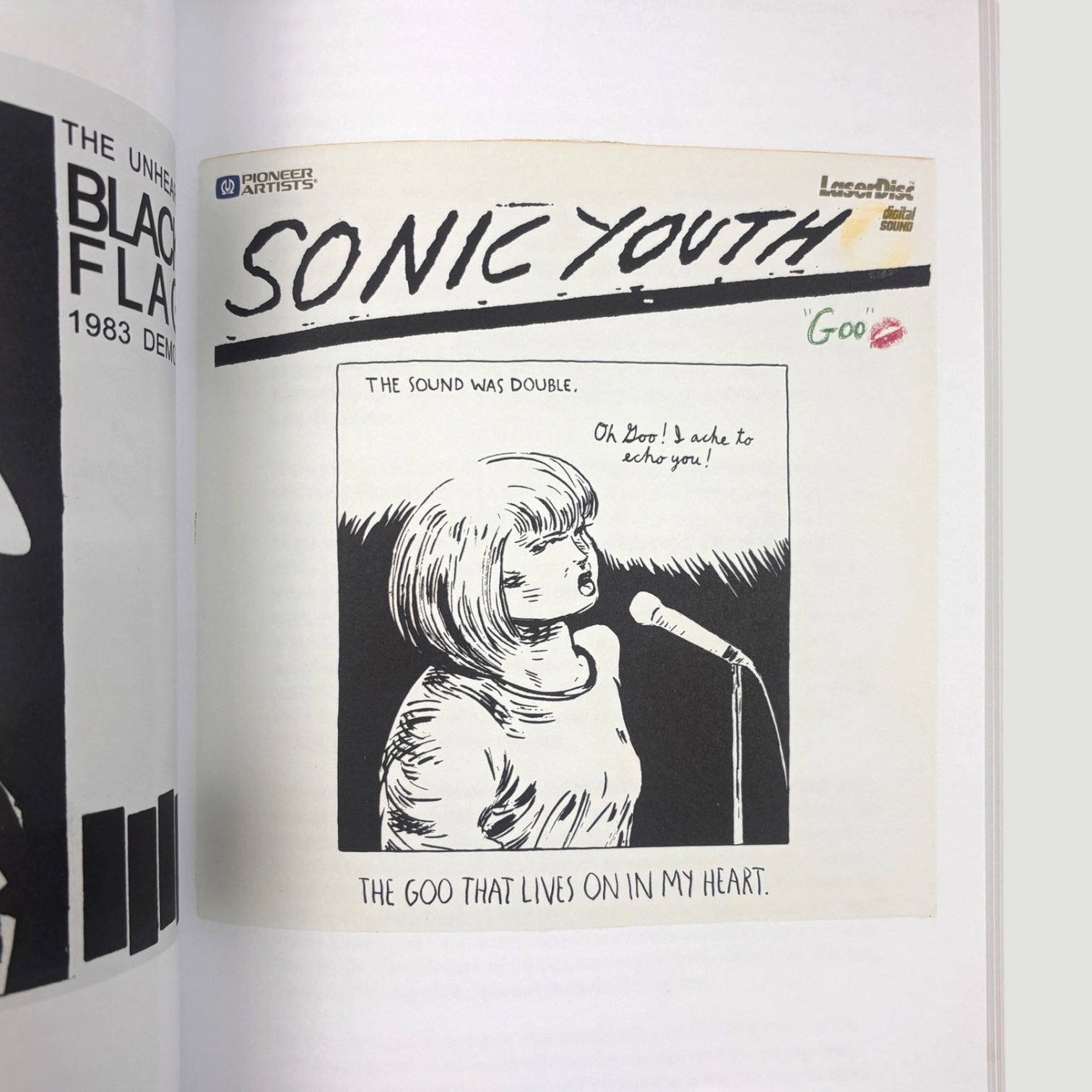 2016 Raymond Pettibon 'Homo Americanus: Collected Works'