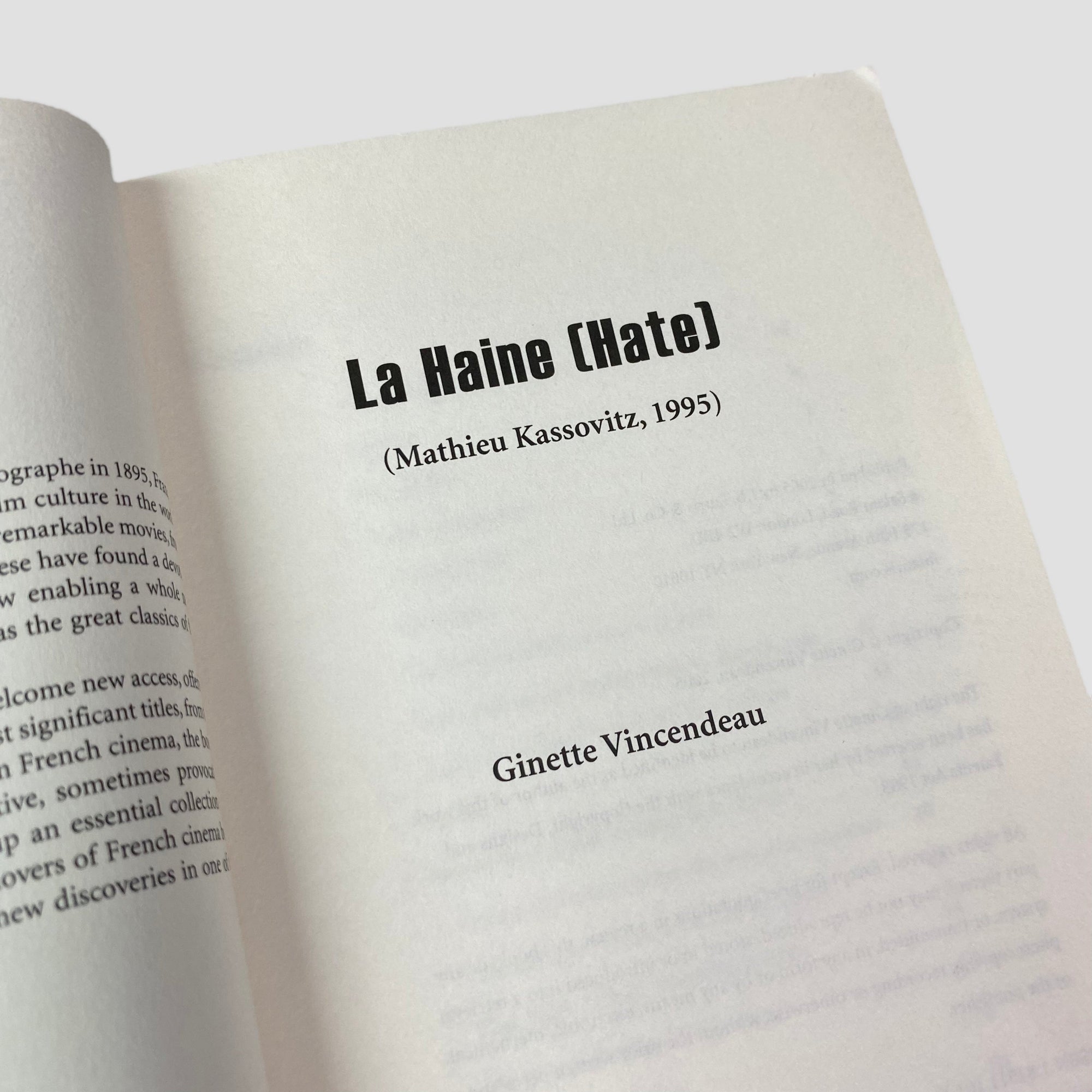 2005 La Haine French Film Guide (English Language)