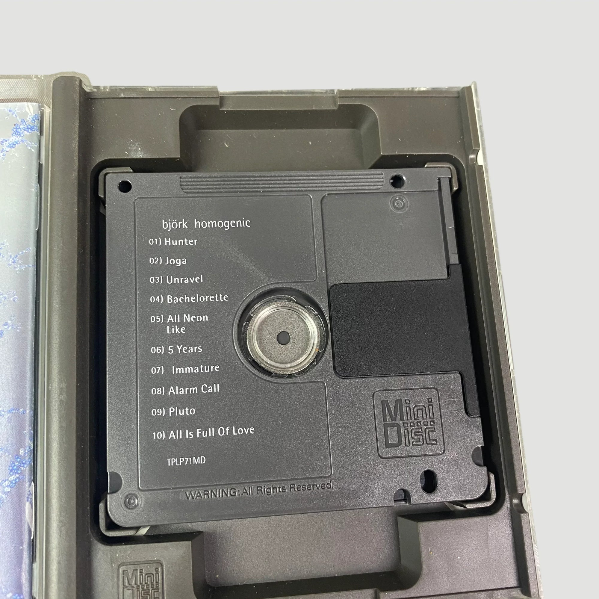 1999 Björk Homogenic Minidisc