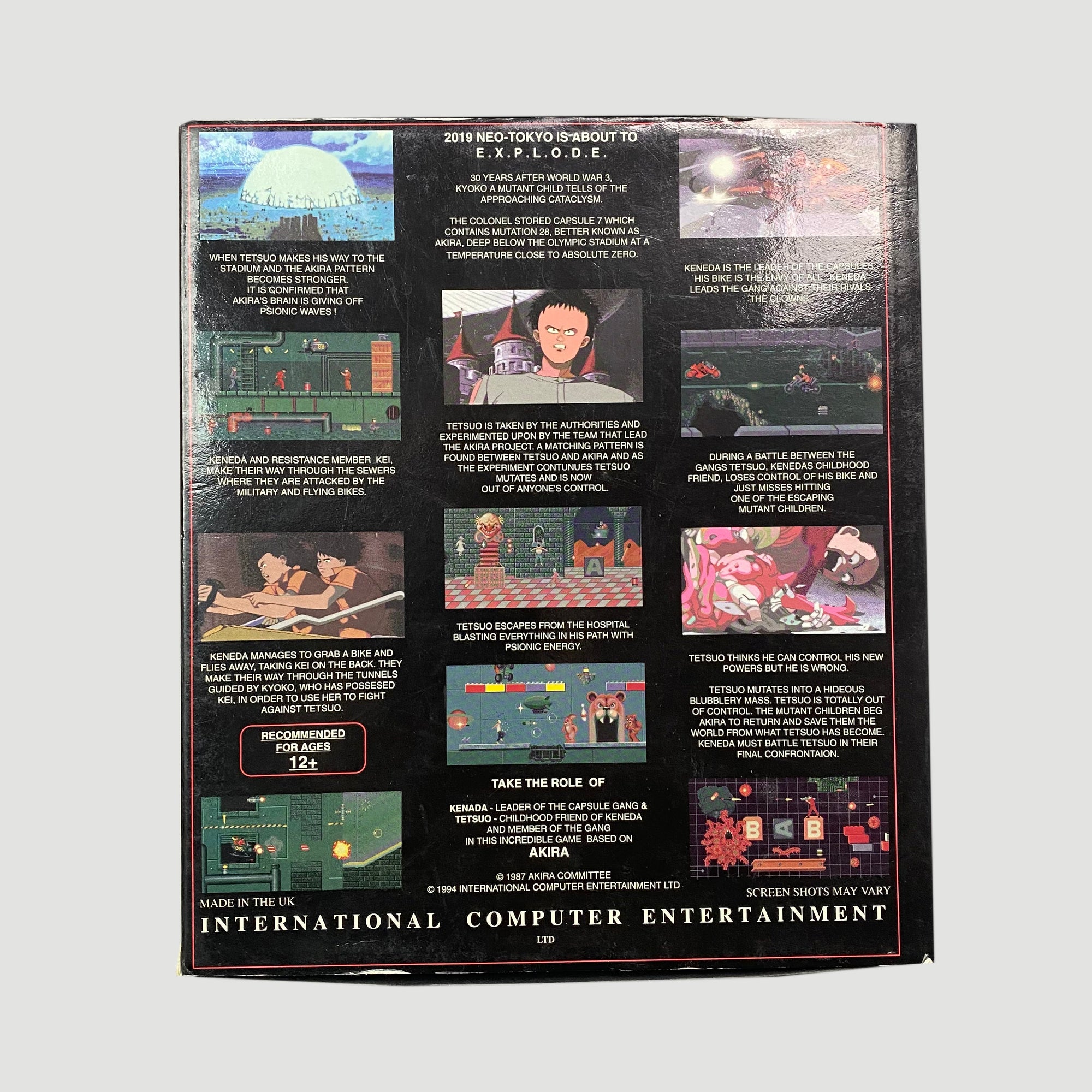 1994 'Akira' Amiga Video Game