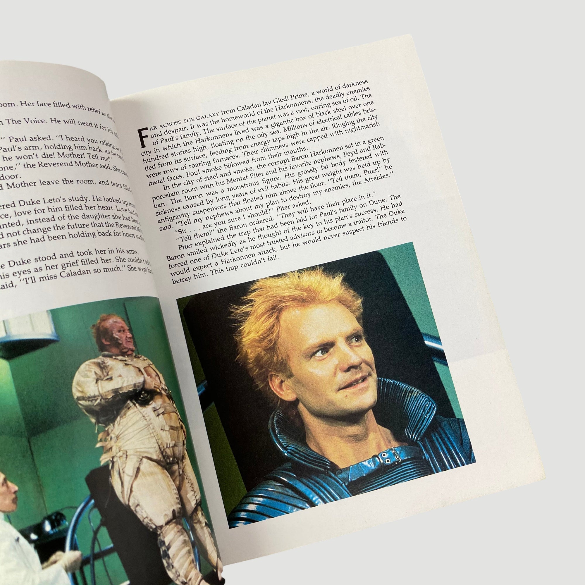 1984 'The Dune Storybook'