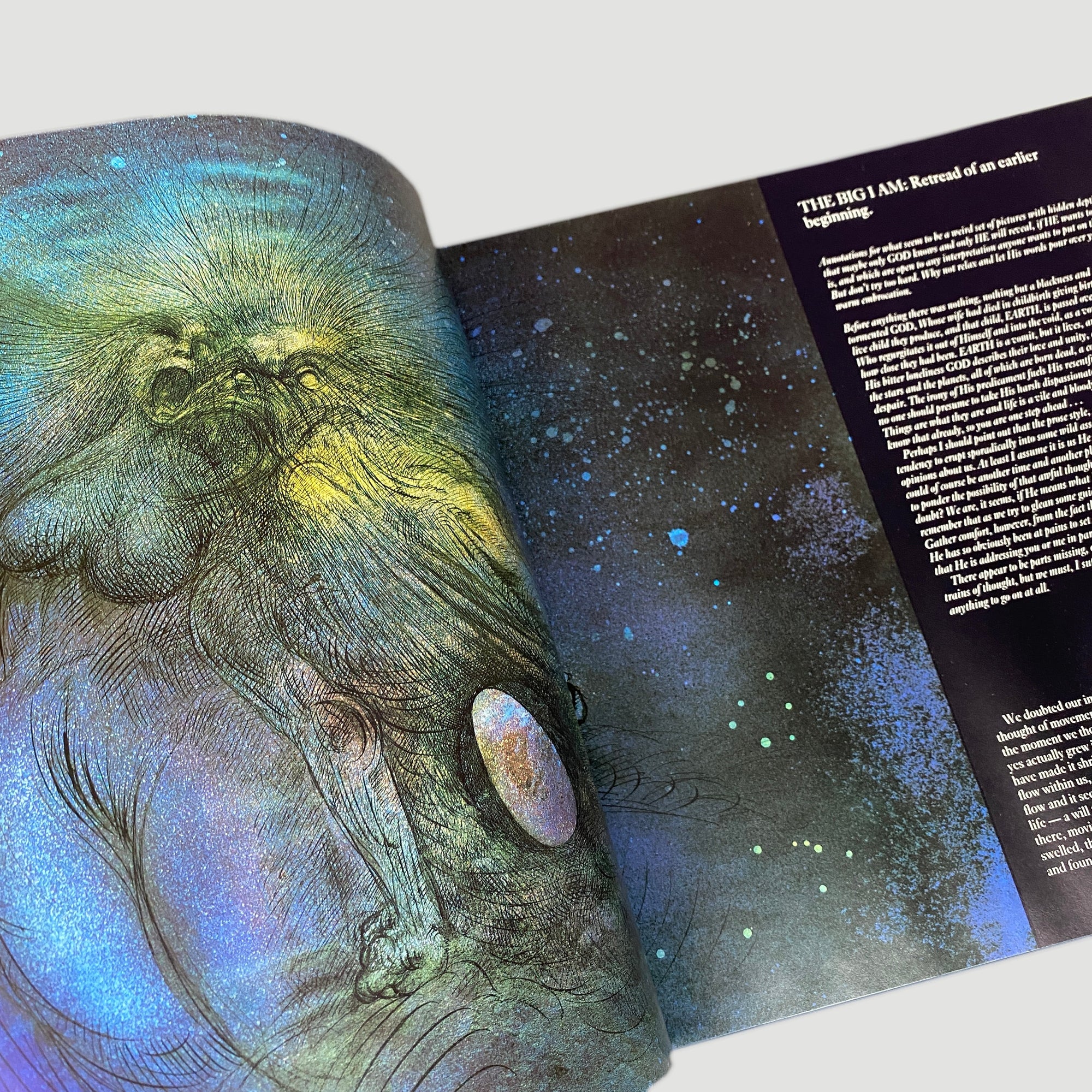 1988 Ralph Steadman 'The Big I Am' 1st Edition