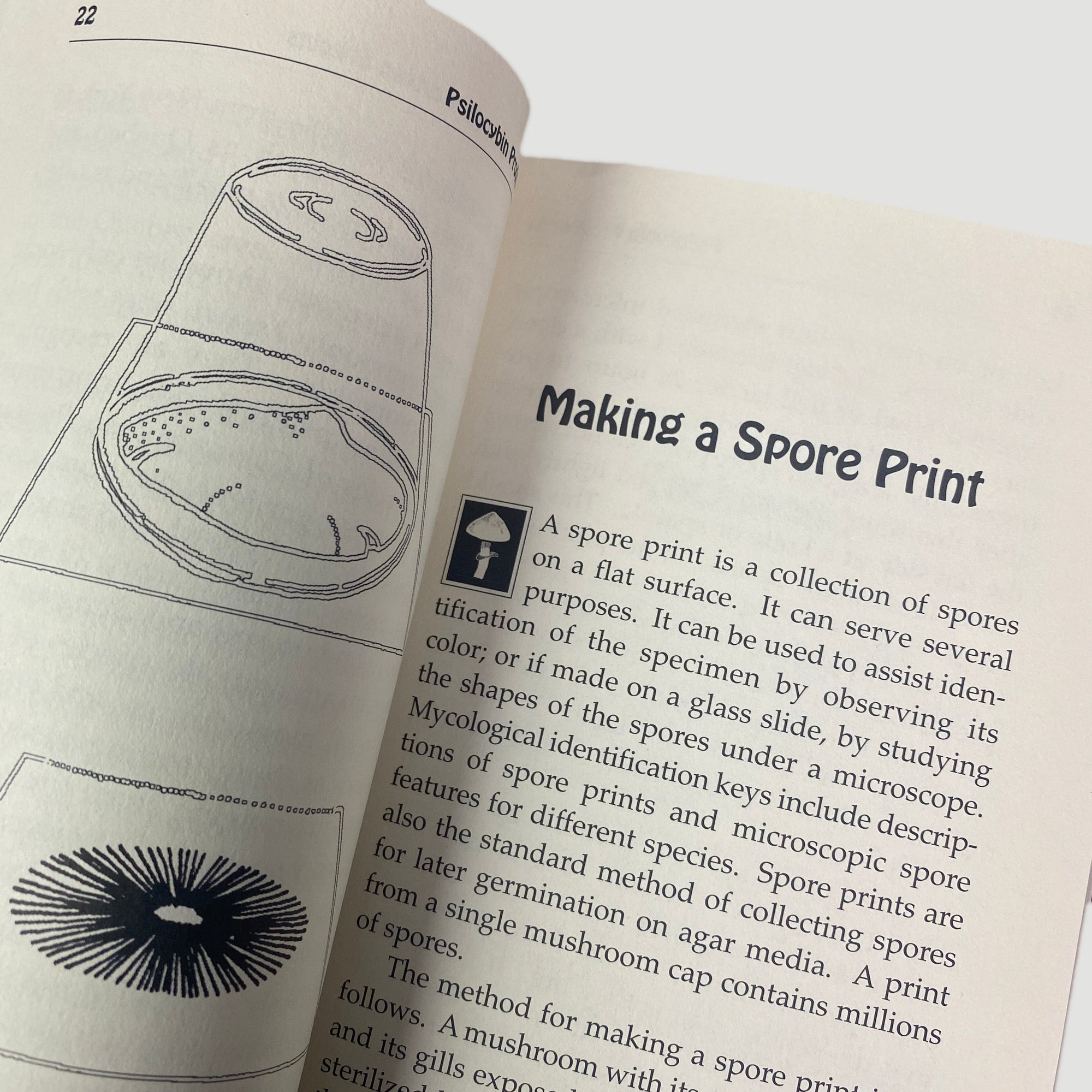 1997 Psilocybin Production Adam Gottlieb