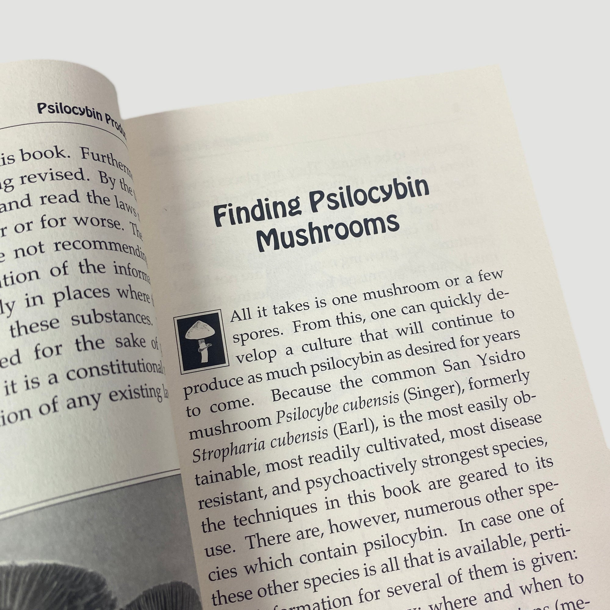 1997 Psilocybin Production Adam Gottlieb