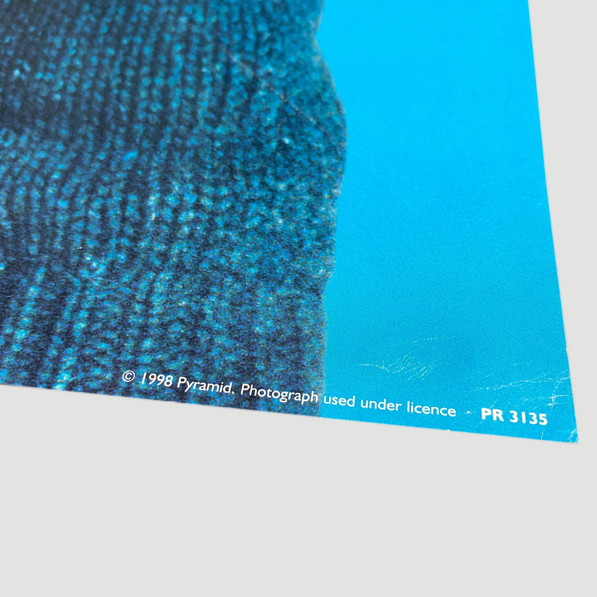 1994 Kurt Cobain Nirvana Door Poster