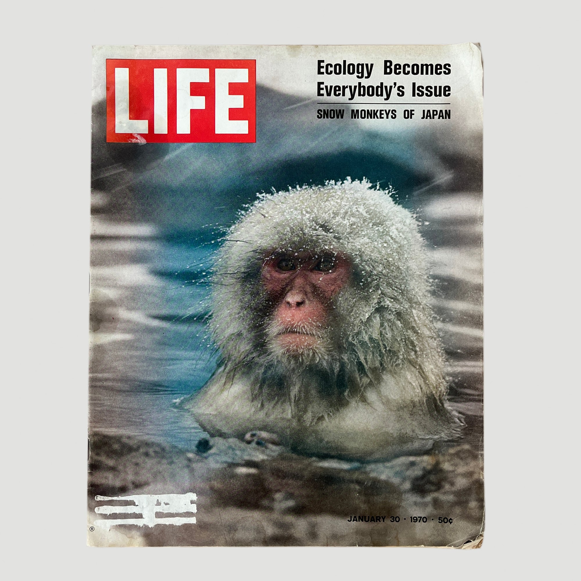 1970 LIFE Magazine Snow Monkey Issue