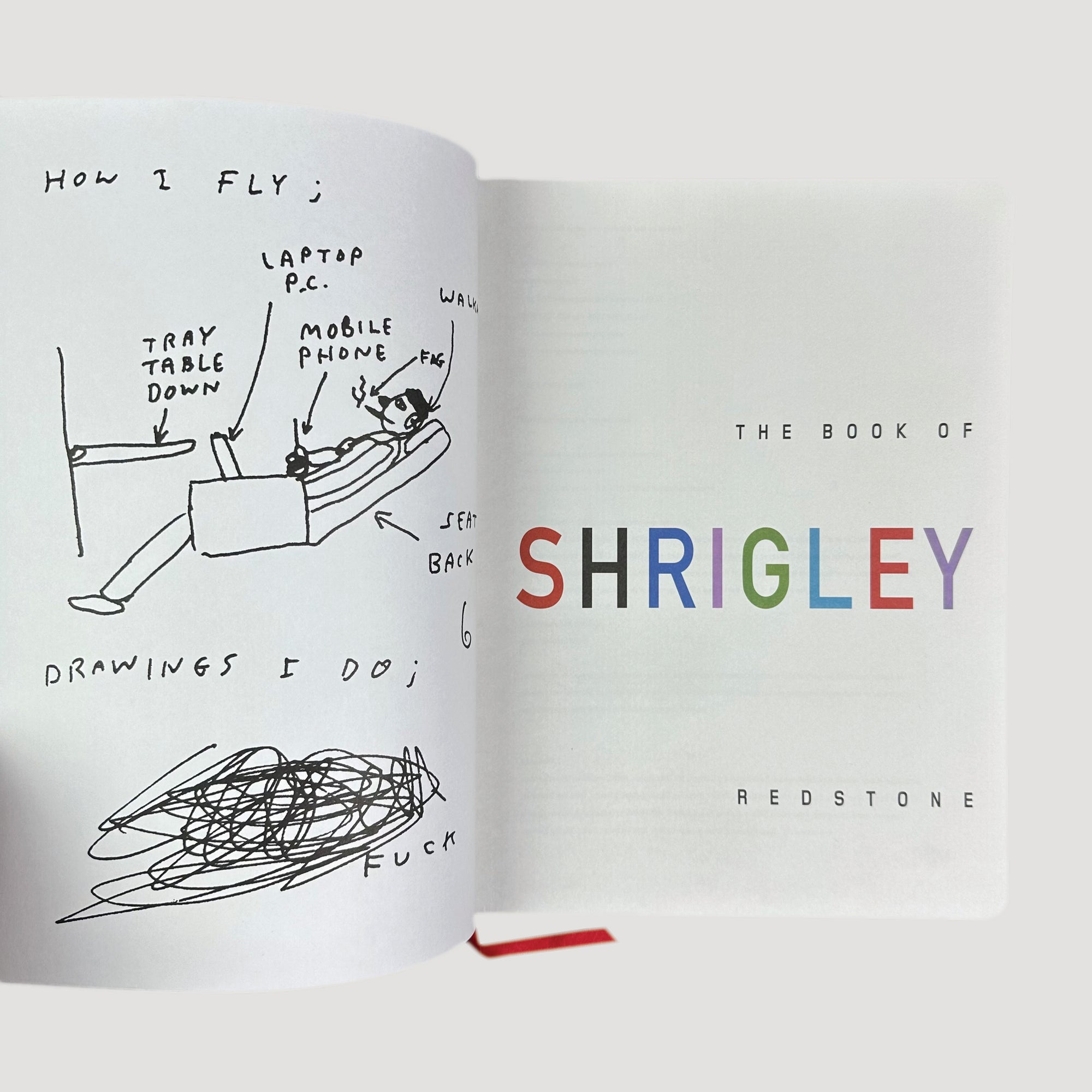 2005 The Book of David Shrigley 1st Edition