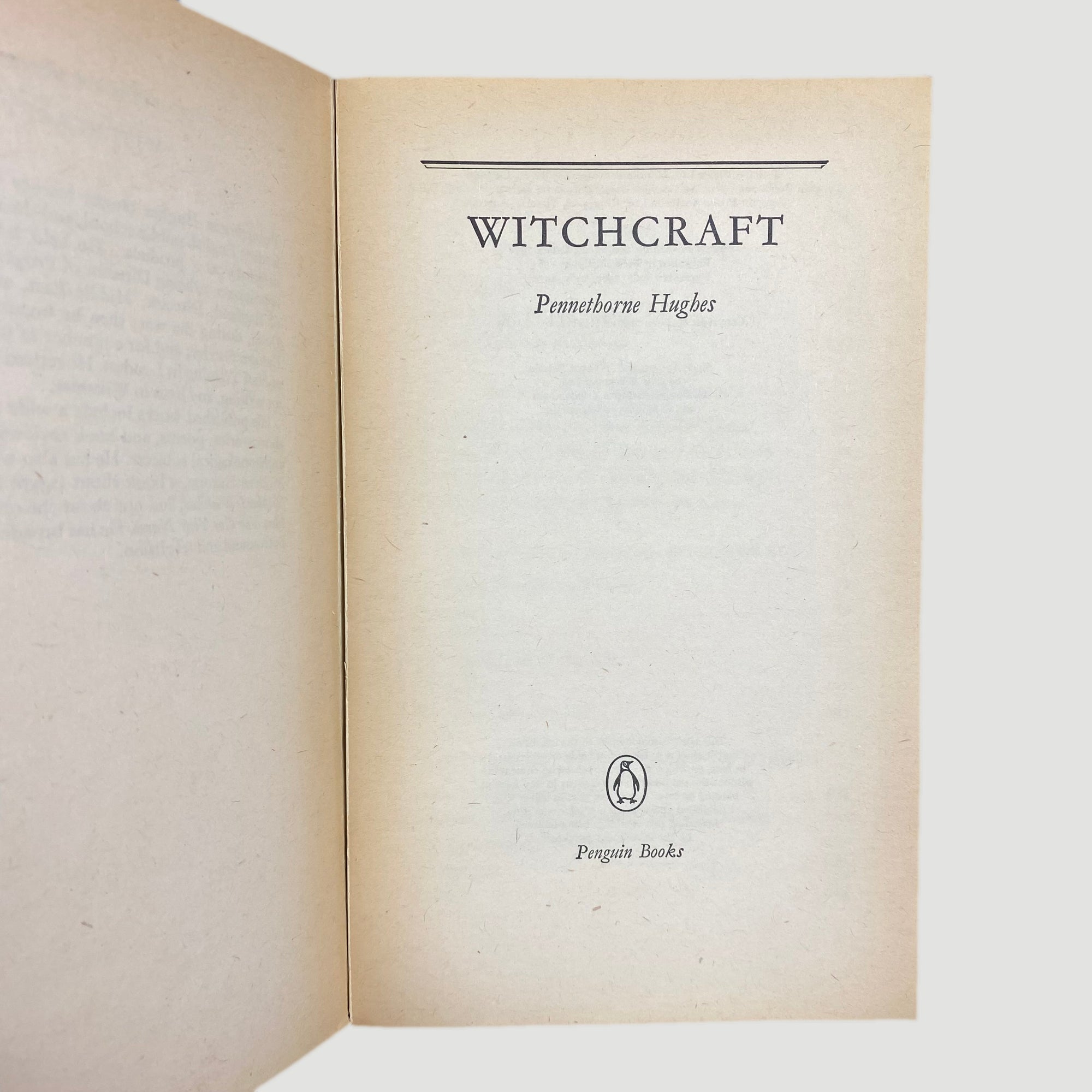 1971 'Witchcraft' by Pennethorne Hughes Pelican