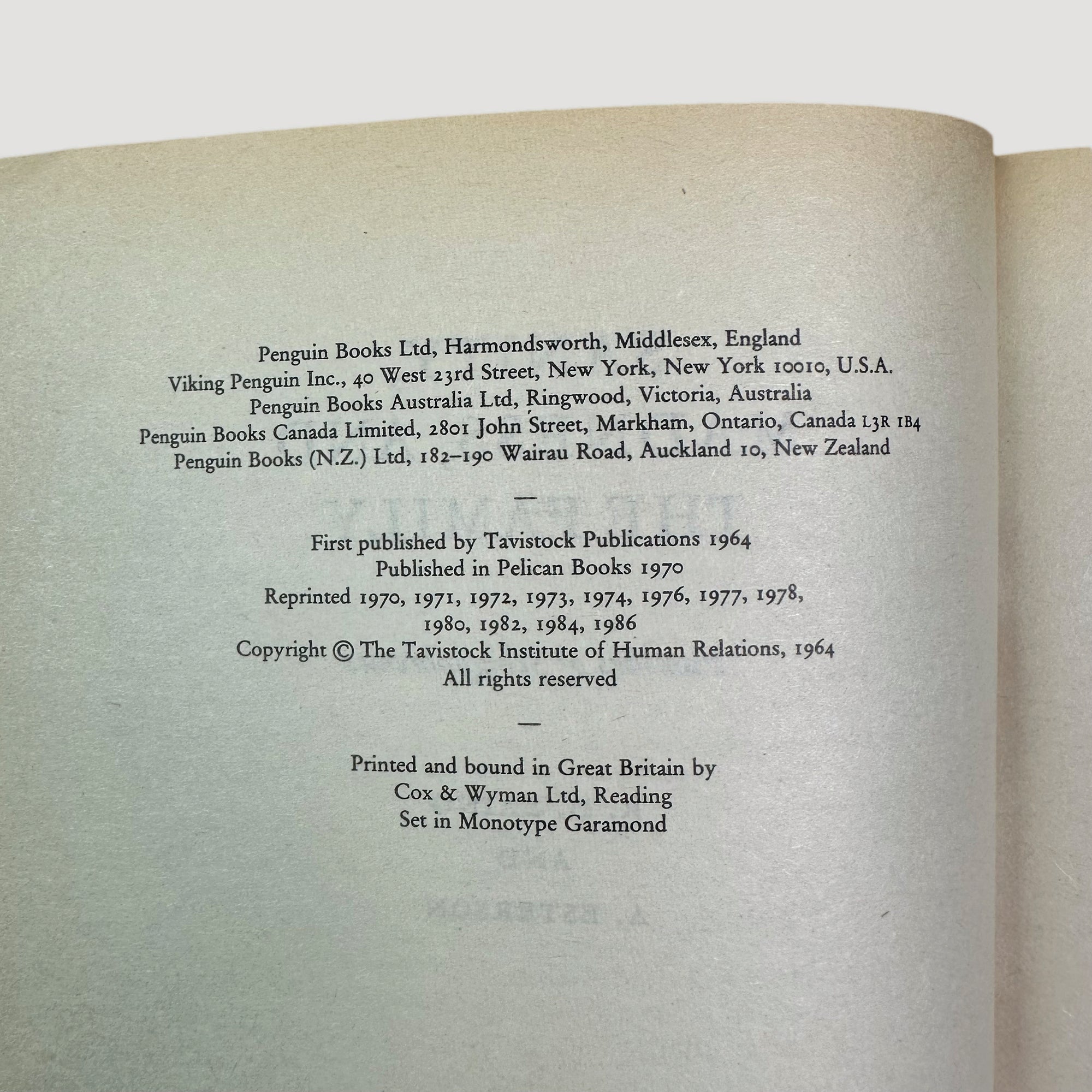 80s Sanity, Madness and the Family Pelican