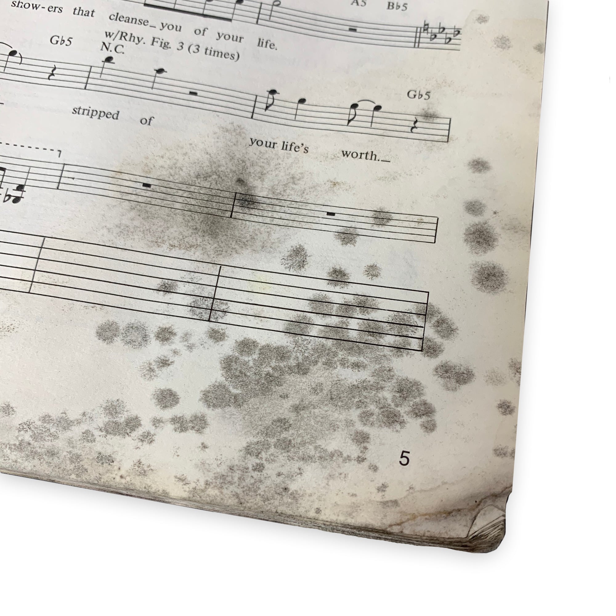 1993 Slayer 'Reign In Blood' Guitar Tab Book