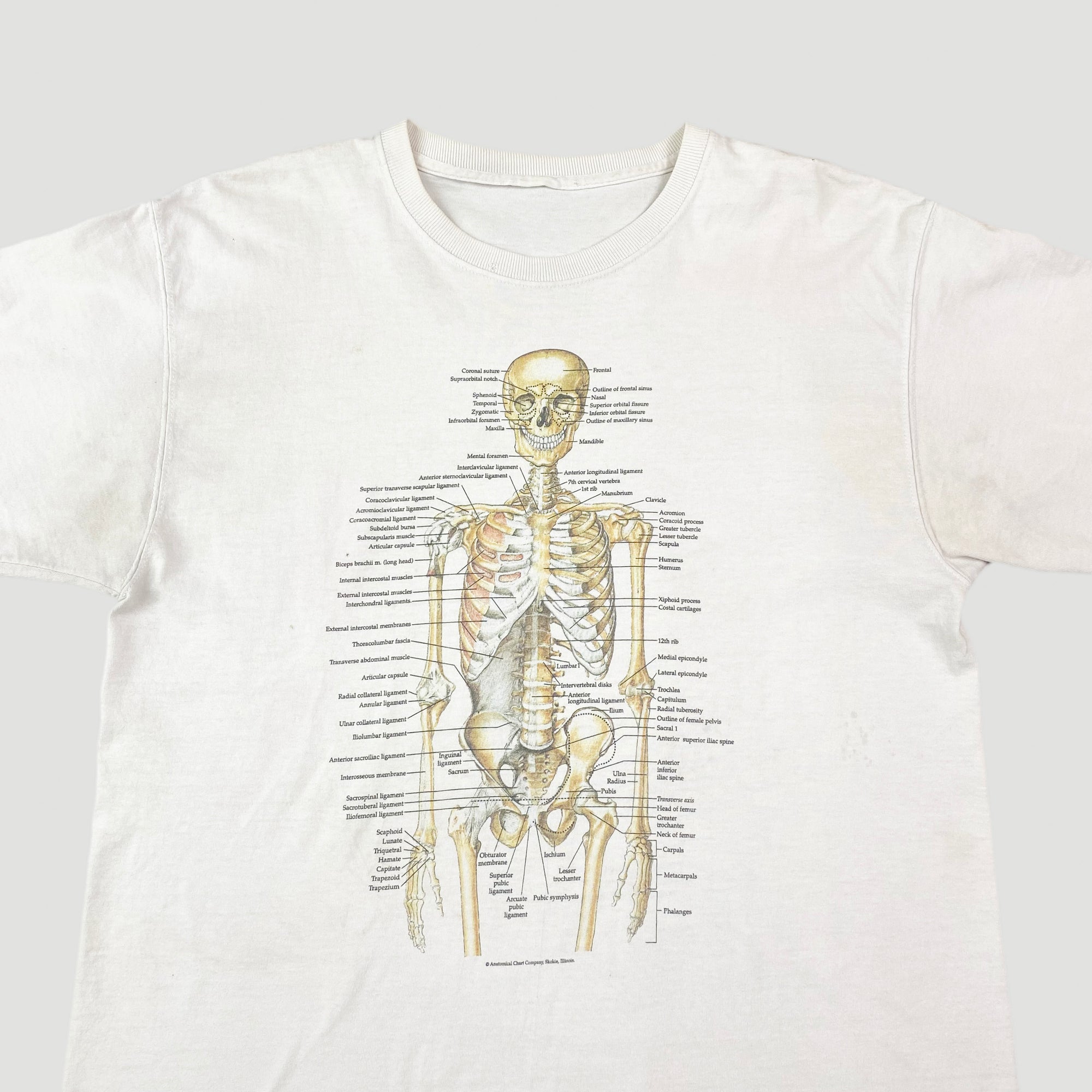 90's Anatomy T-Shirt