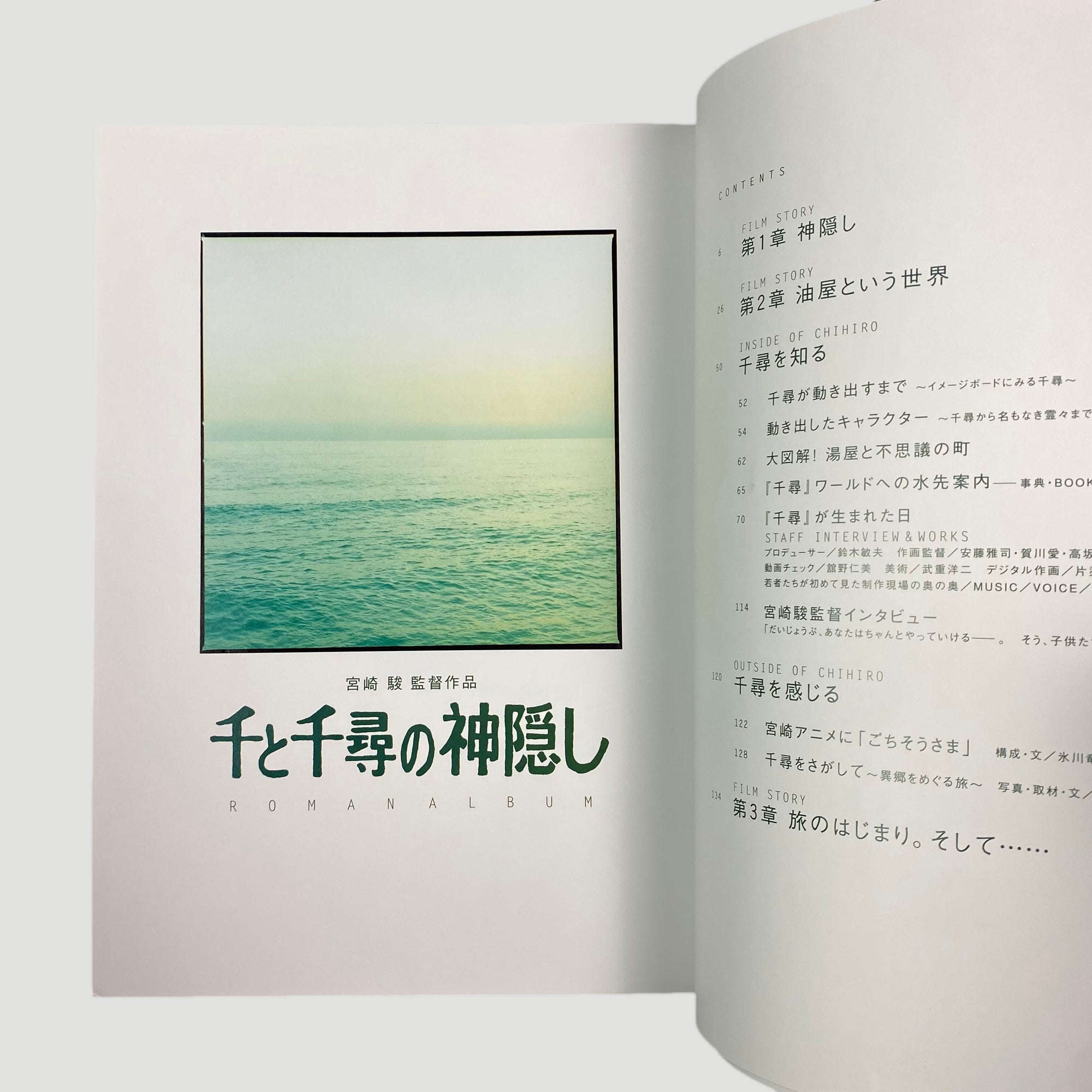 2020 Spirited Away Roman Album Japanese Brochure