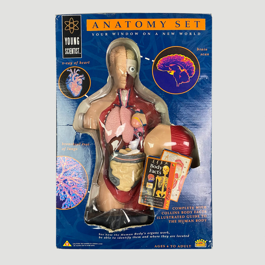 90's Anatomy Set