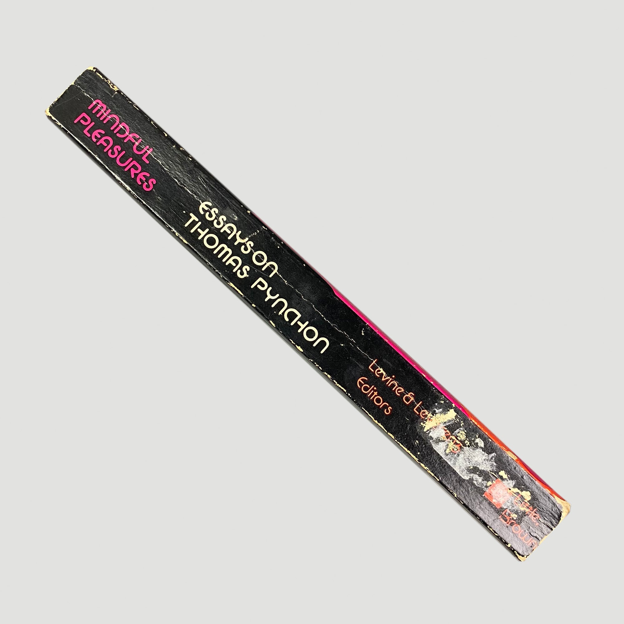 1976 Essays on Thomas Pynchon