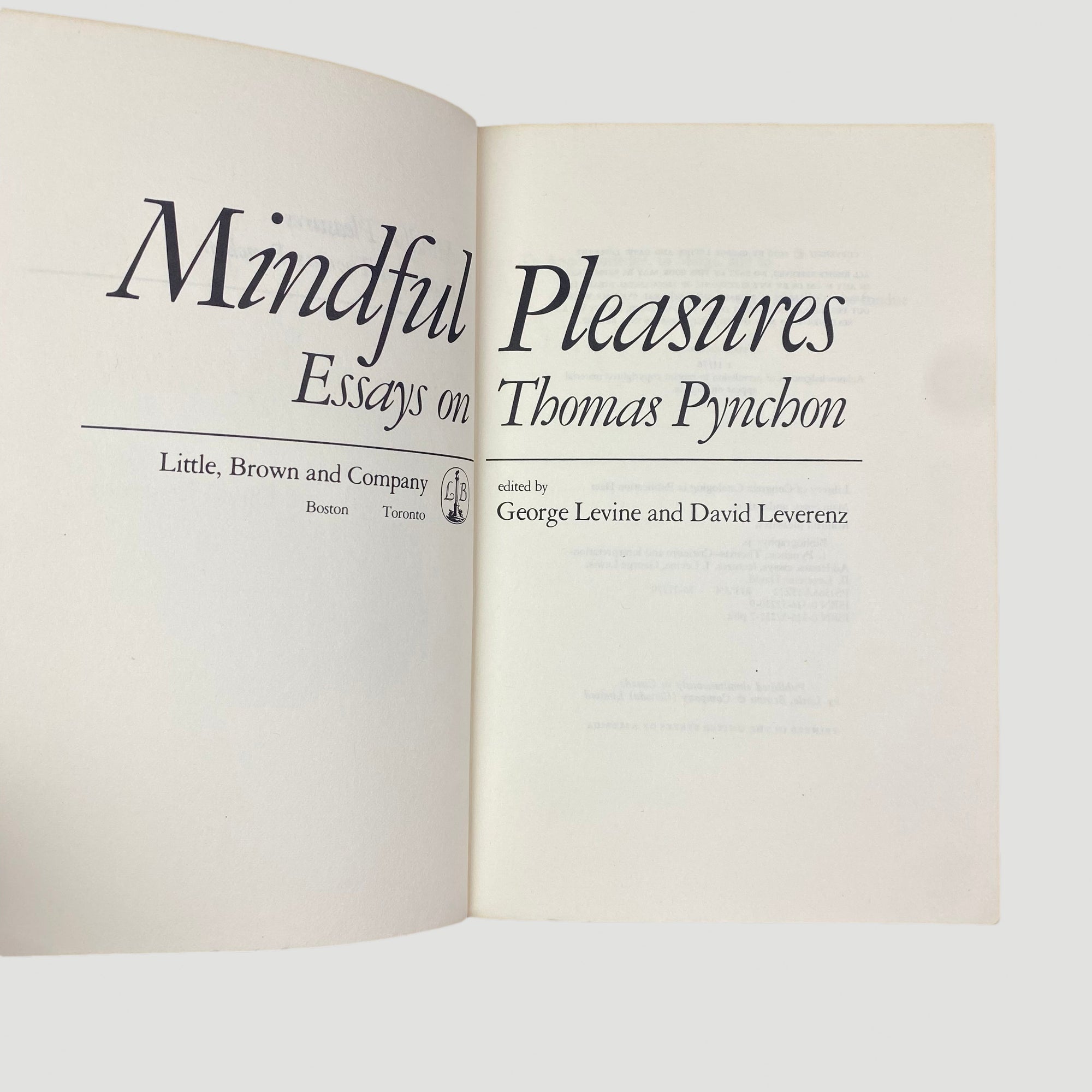 1976 Essays on Thomas Pynchon
