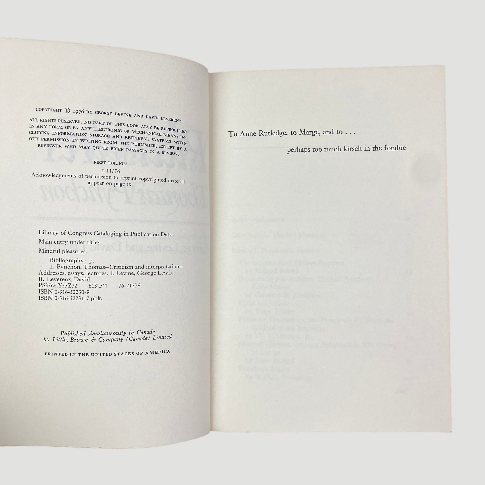 1976 Essays on Thomas Pynchon
