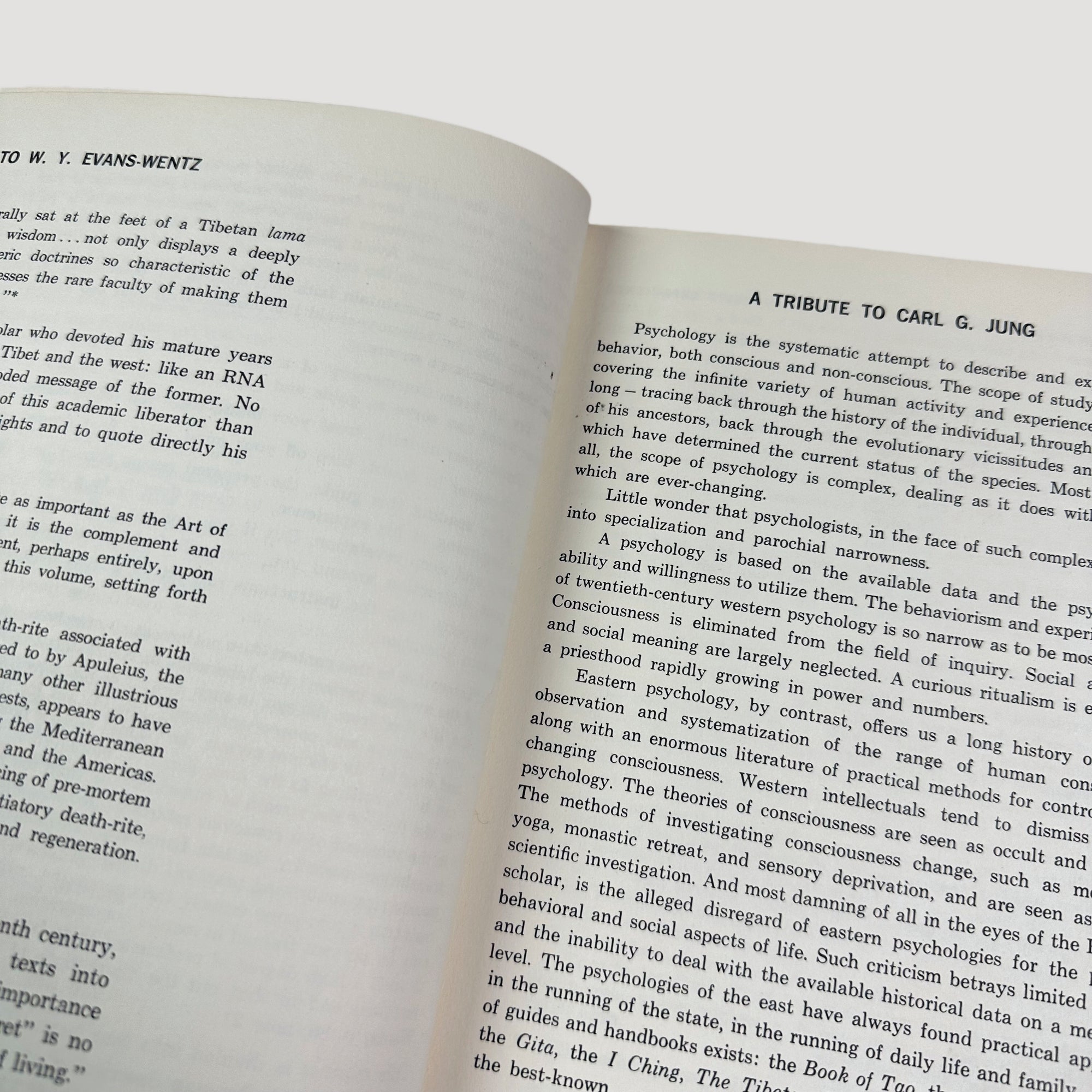 1964 Timothy Leary The Psychedelic Experience