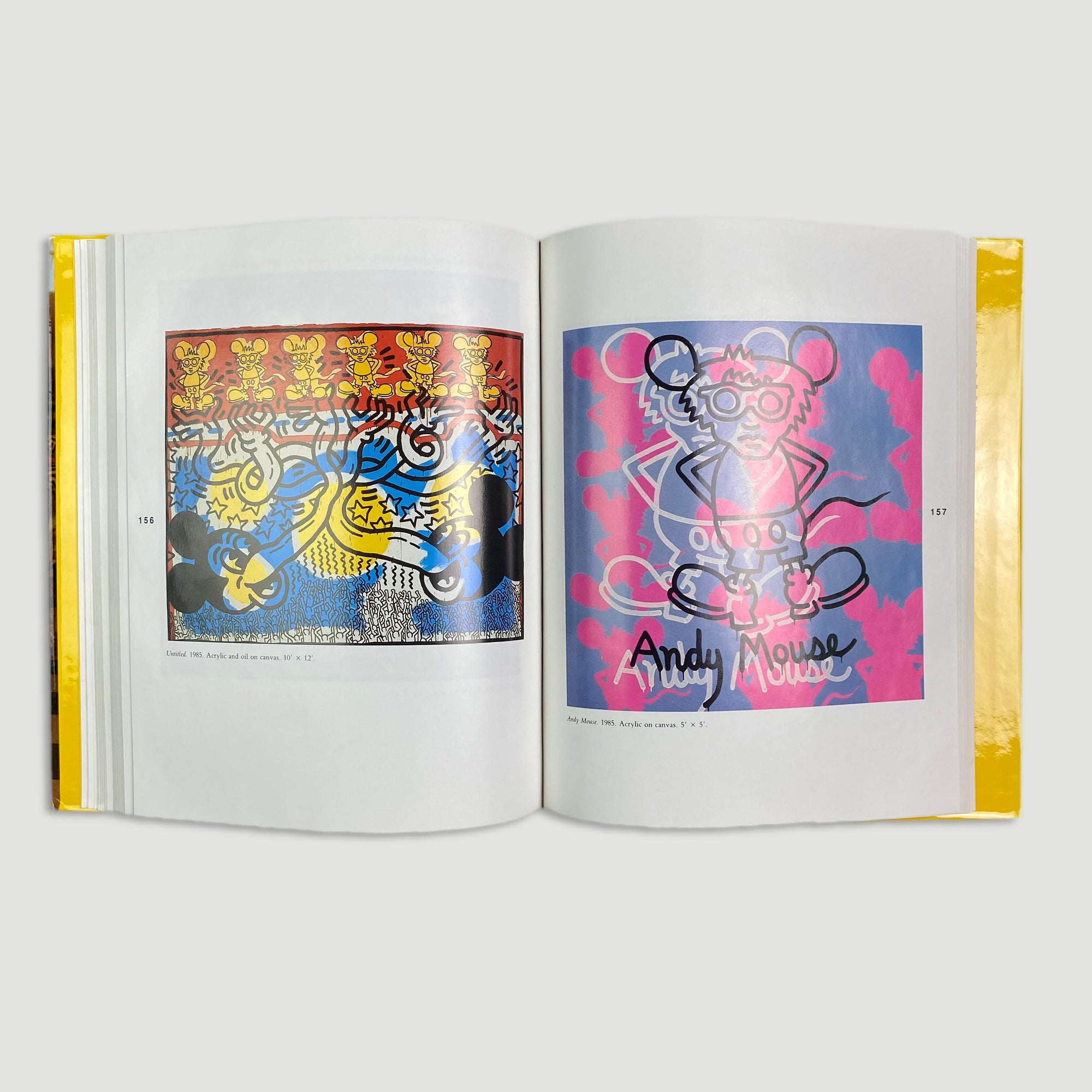 1991 Keith Haring: The Authorised Biography 1st Ed.