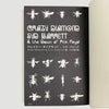 90’s Crazy Diamond- Syd Barrett Japanese Book