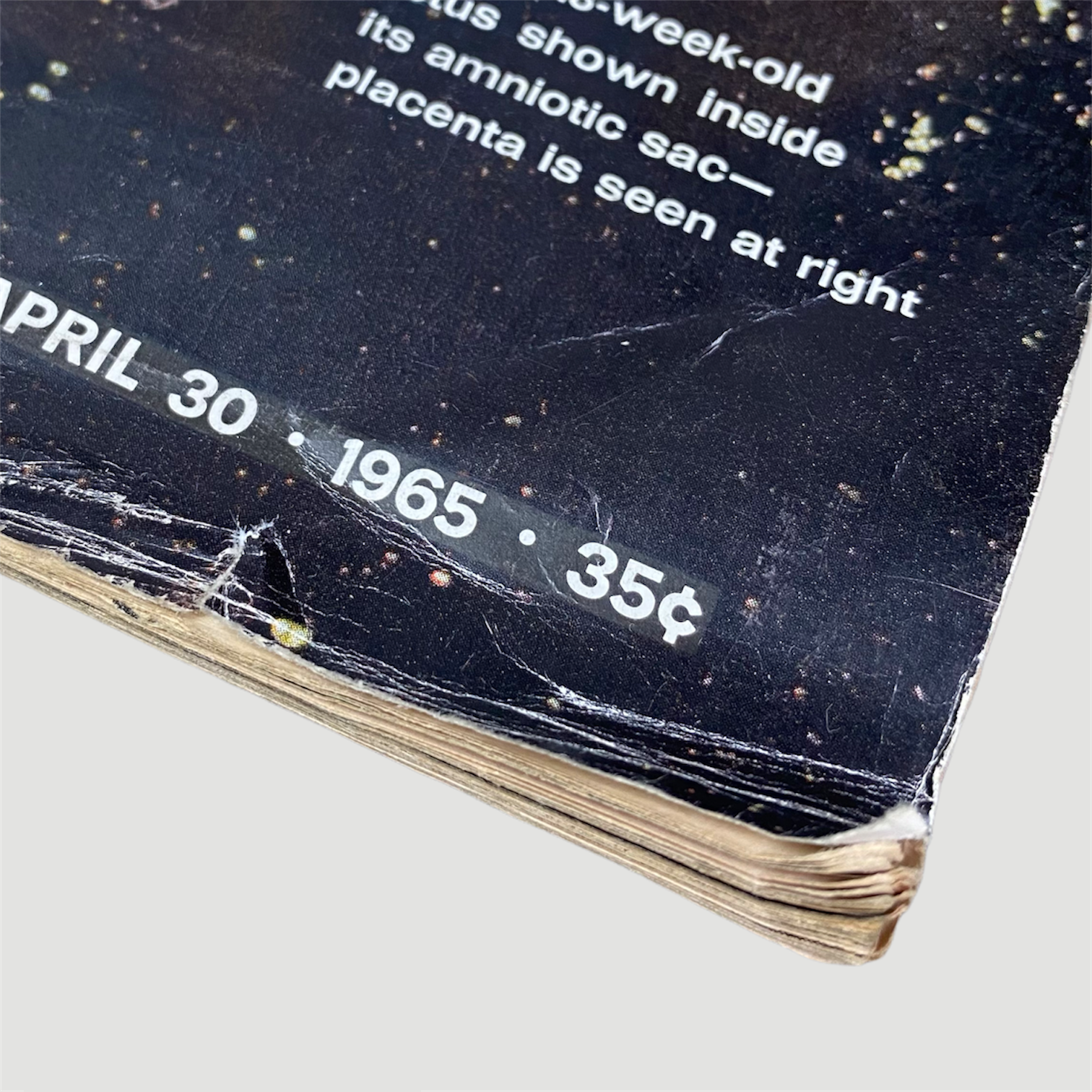 1965 Life Magazine 'Drama of Life Before Birth' Issue