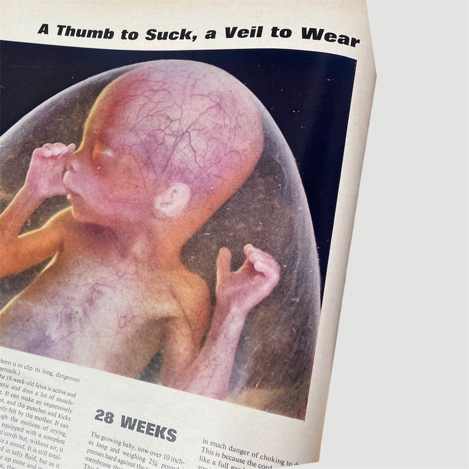 1965 Life Magazine 'Drama of Life Before Birth' Issue