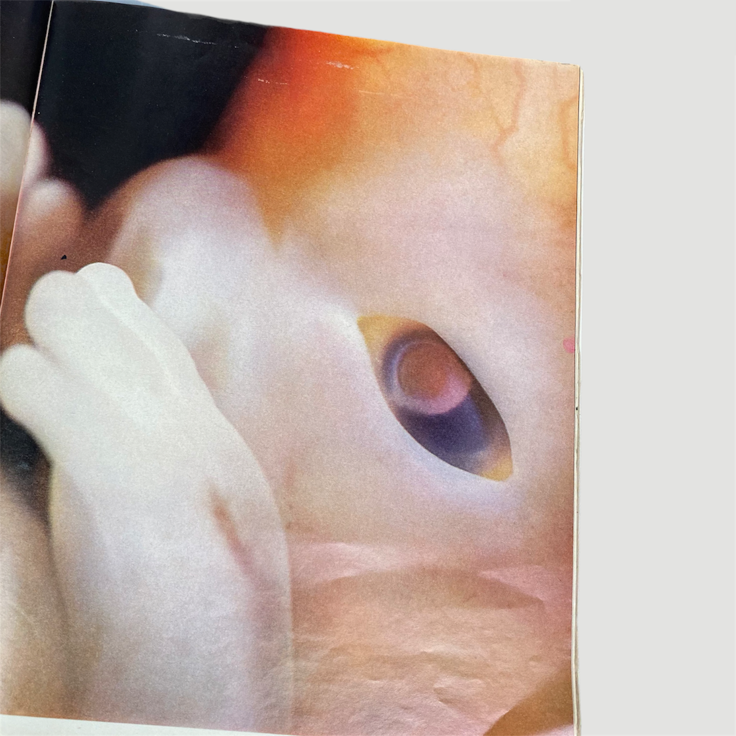 1965 Life Magazine 'Drama of Life Before Birth' Issue