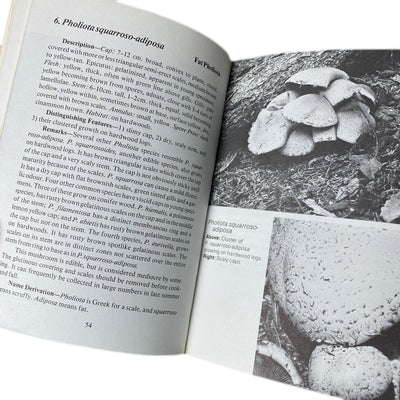 1978 Karen & Richard Haard 'Foraging for Edible Wild Mushrooms'
