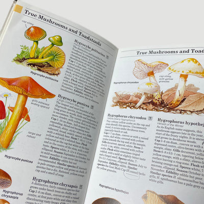 1994 David Pegler 'Field Guide to the Mushrooms and Toadstools of Britain and Europe'
