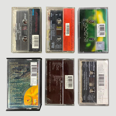 90's Smashing Pumpkins Cassette Collection