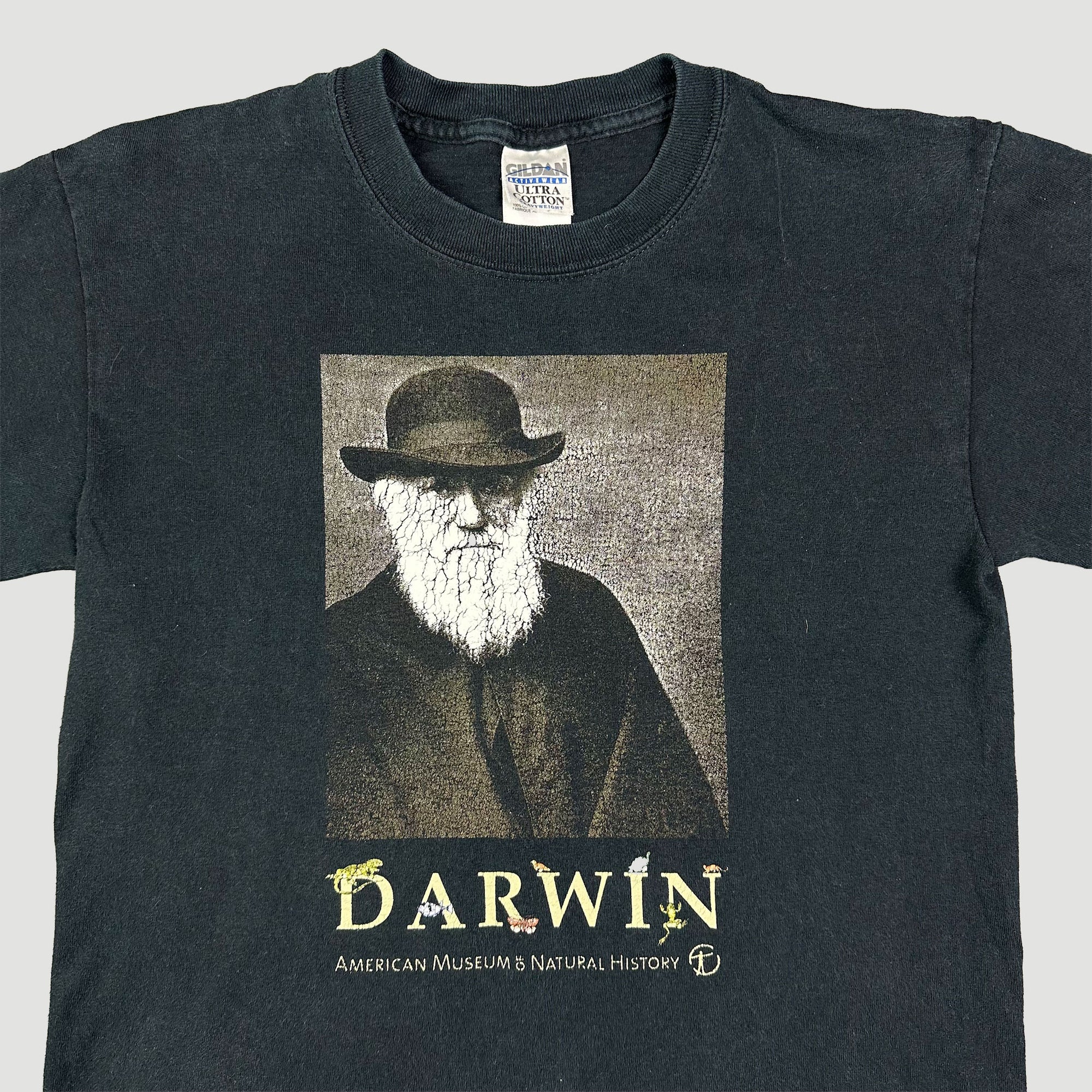 darwin shirt