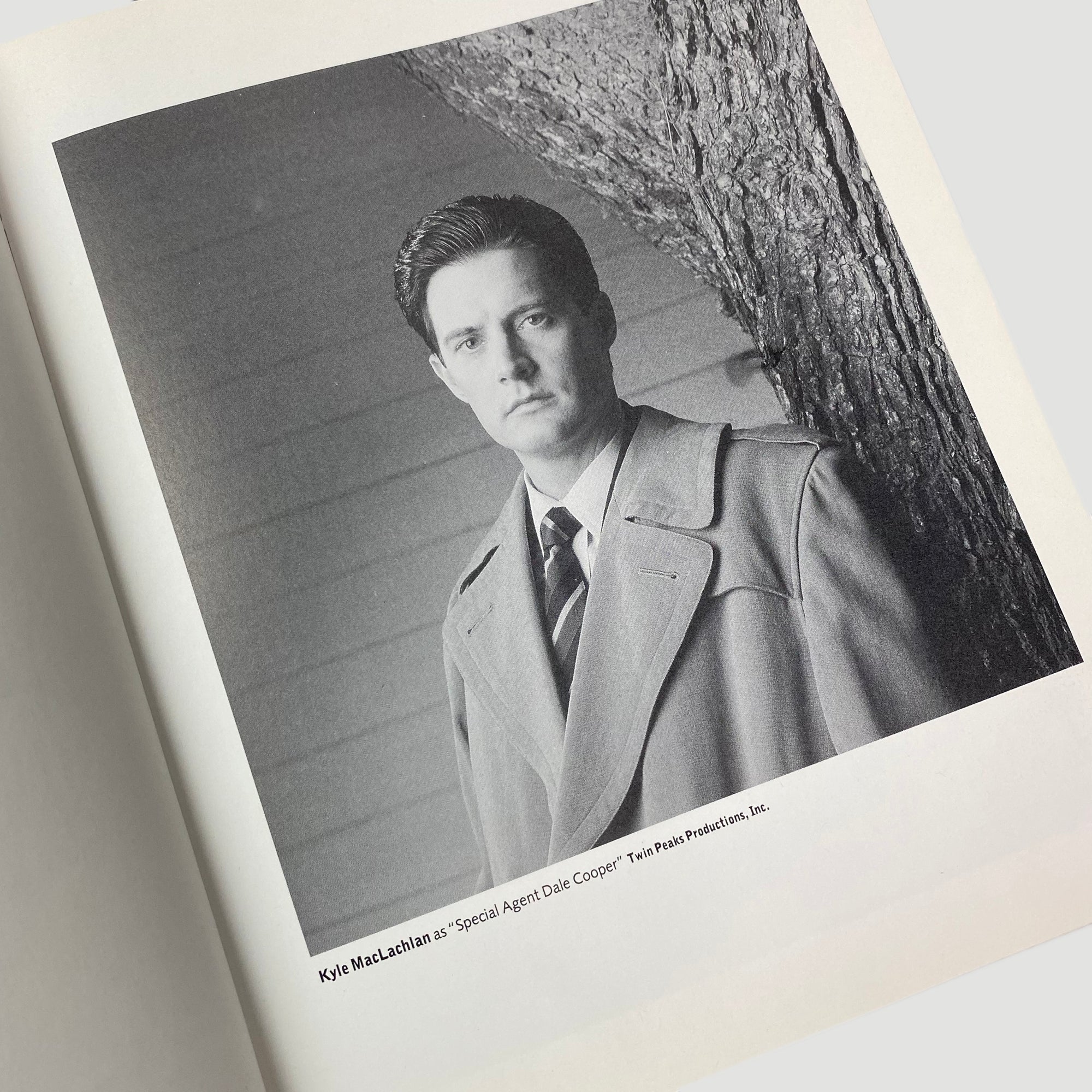 1994 David Lynch 'Images' 1st Edition