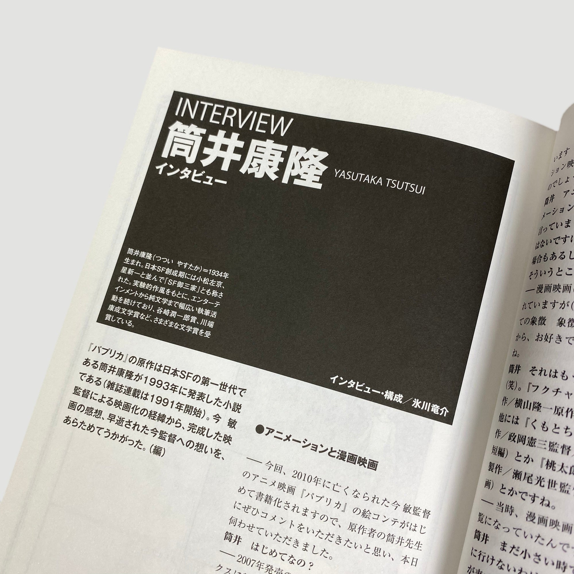 2019 Paprika Storyboard Book