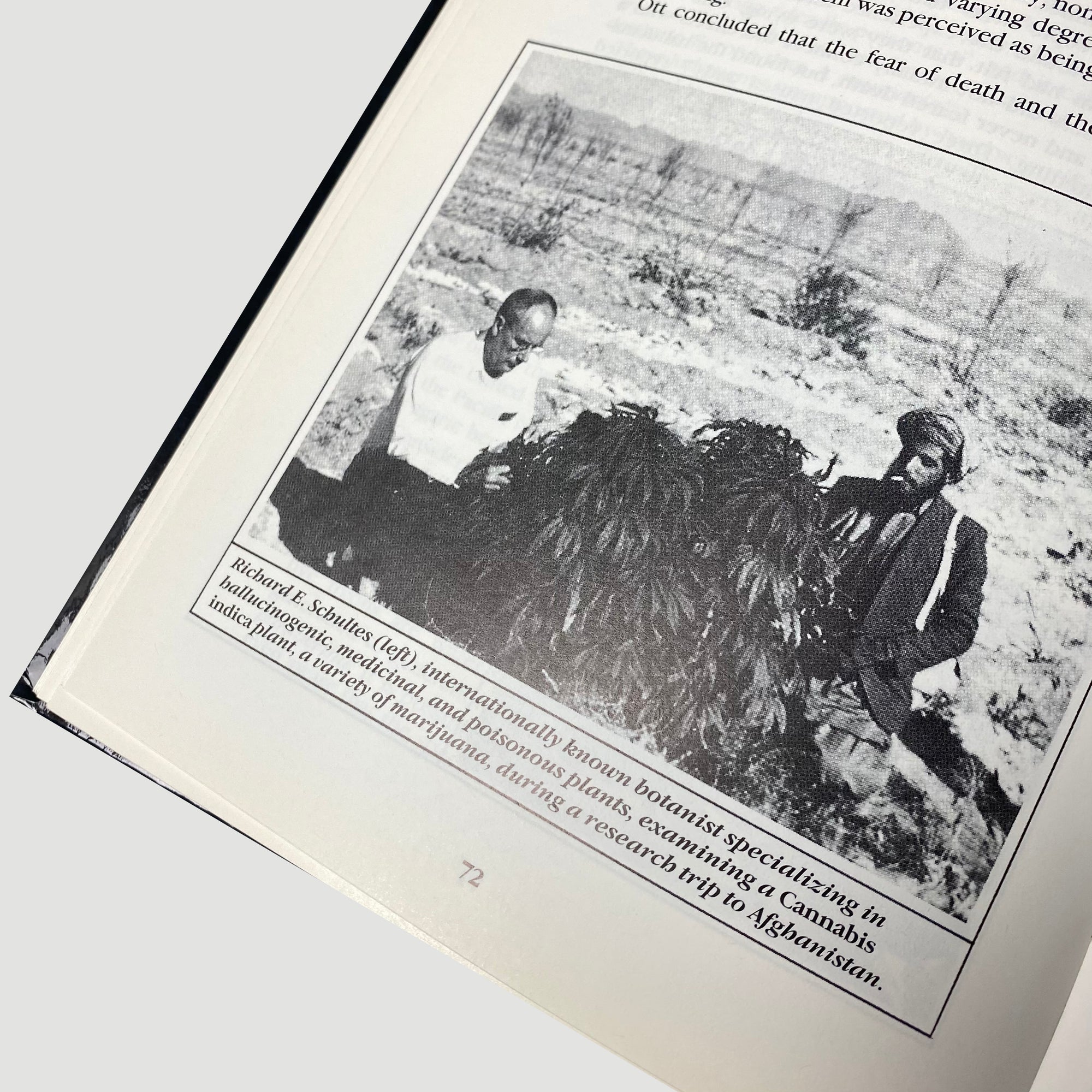 1986 Mushrooms: Psychedelic Fungi