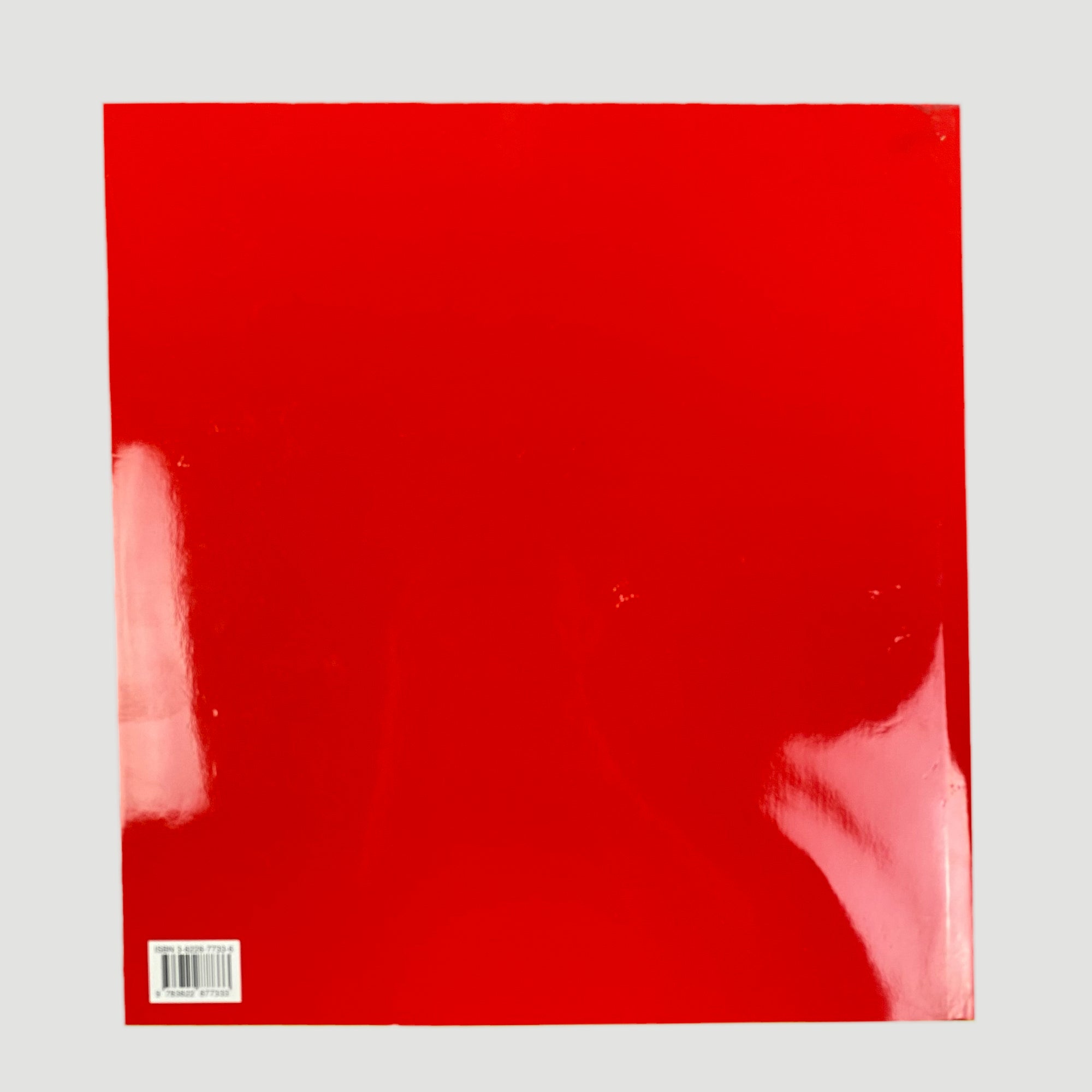 1998 Keith Haring by Elisabeth Sussman