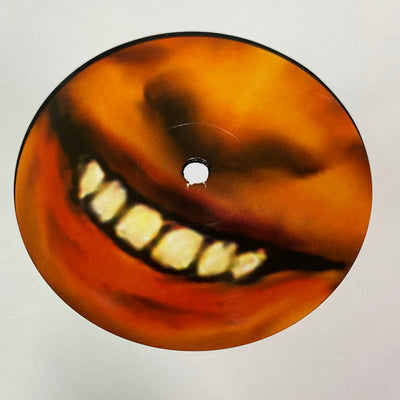 1995 Aphex Twin 'I Care Because You Do' LP