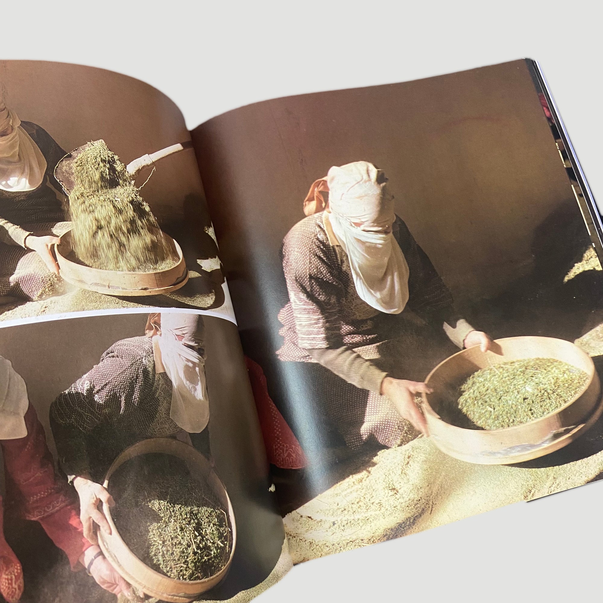 1984 Hasish by Suomi La Valle