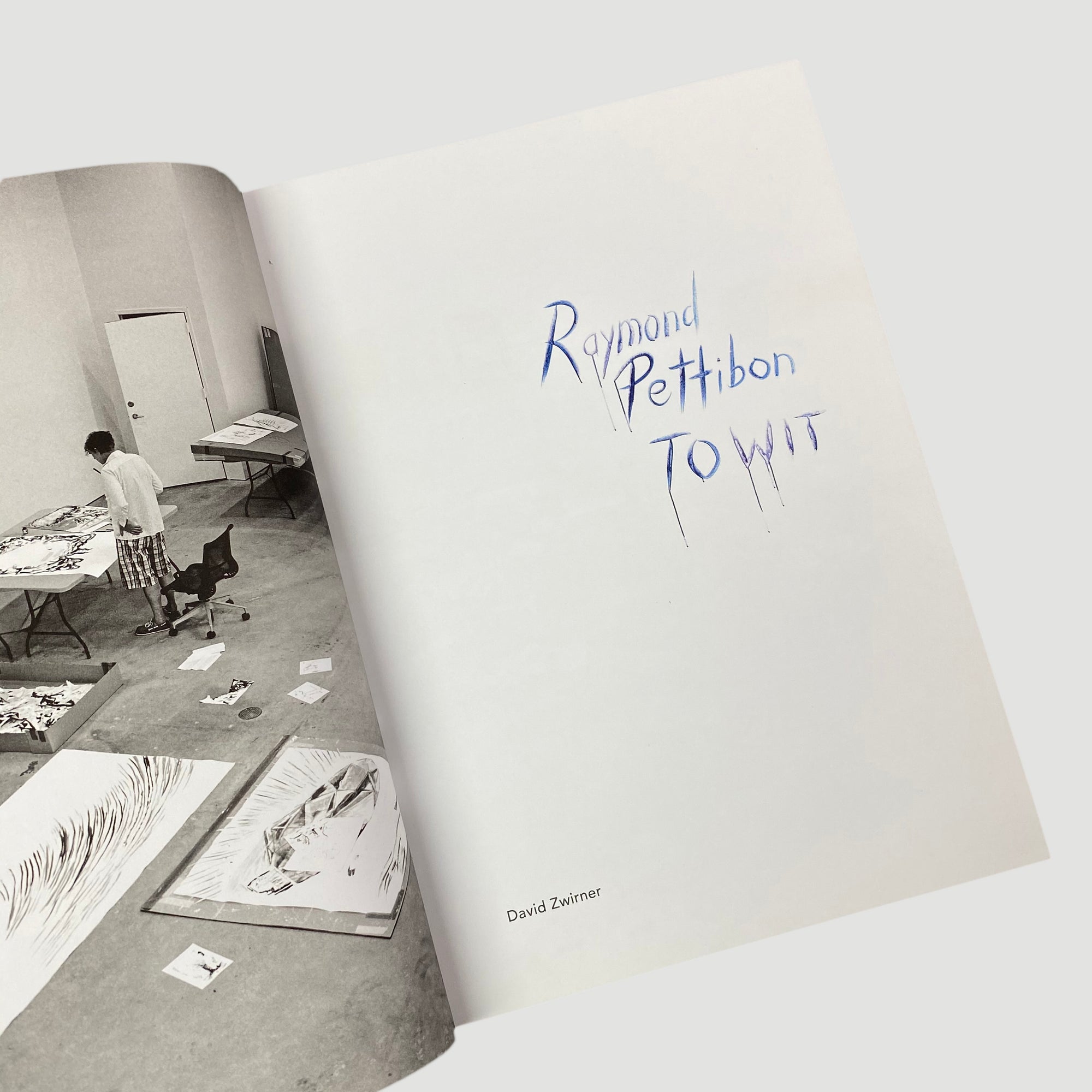 2014 Raymond Pettibon: To Wit