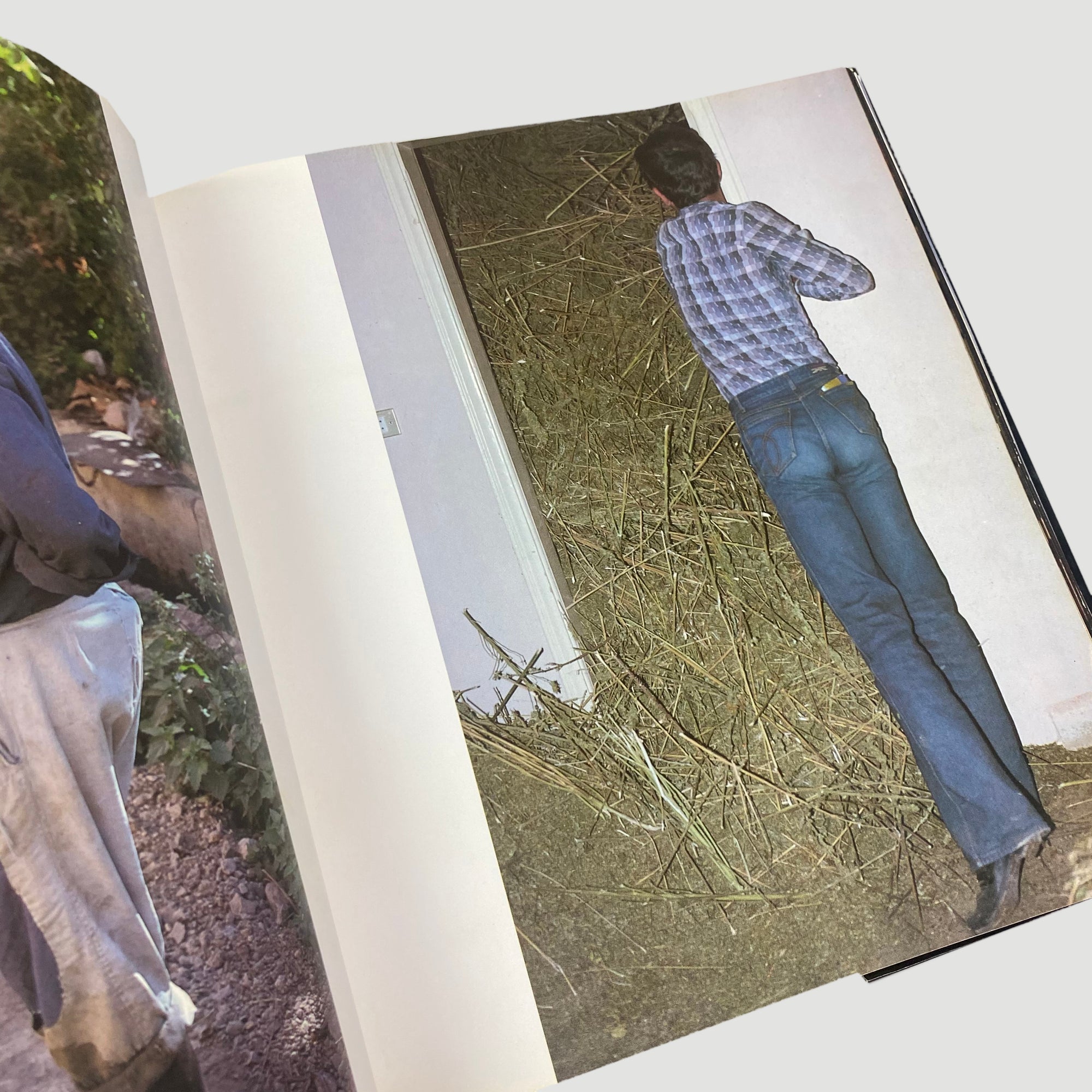 1984 Hasish by Suomi La Valle