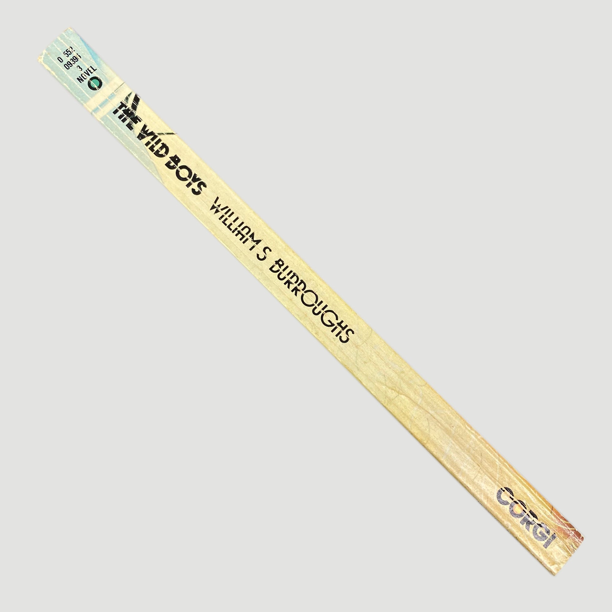 1973 William S. Burroughs 'The Wild Boys' 1st Edition Softback