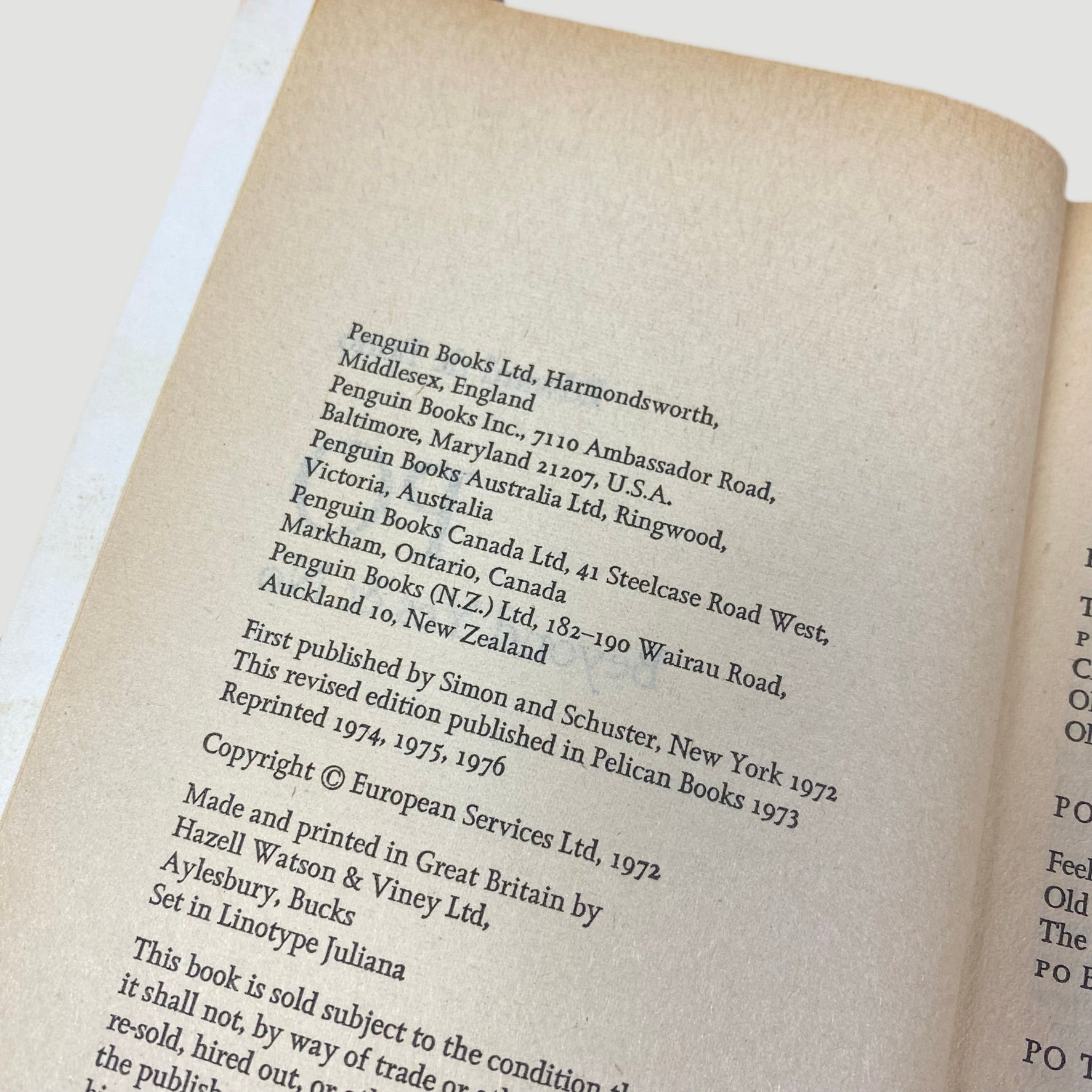 1976 Edward Bono 'Po: Beyond Yes and No' Pelican