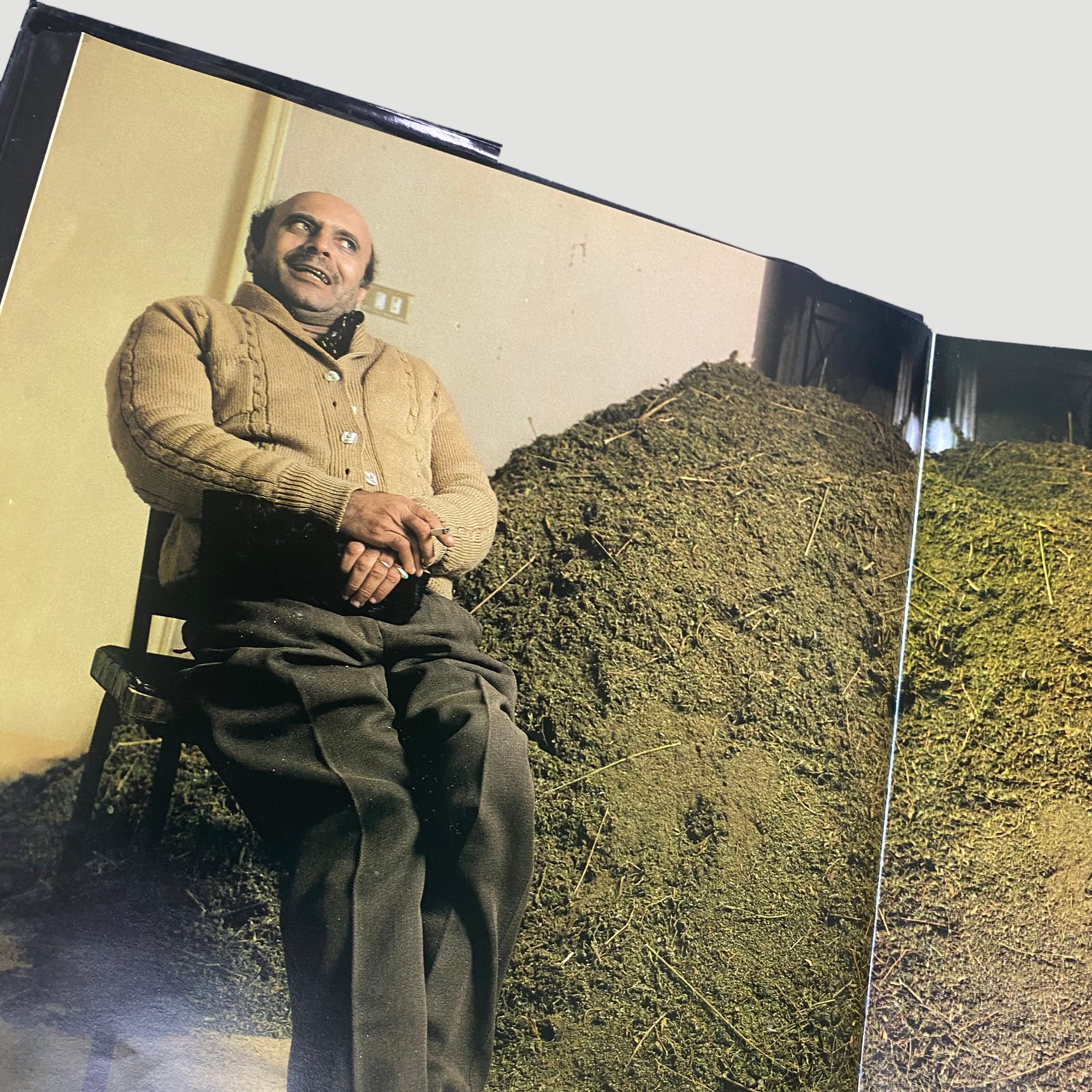 1984 Hasish by Suomi La Valle